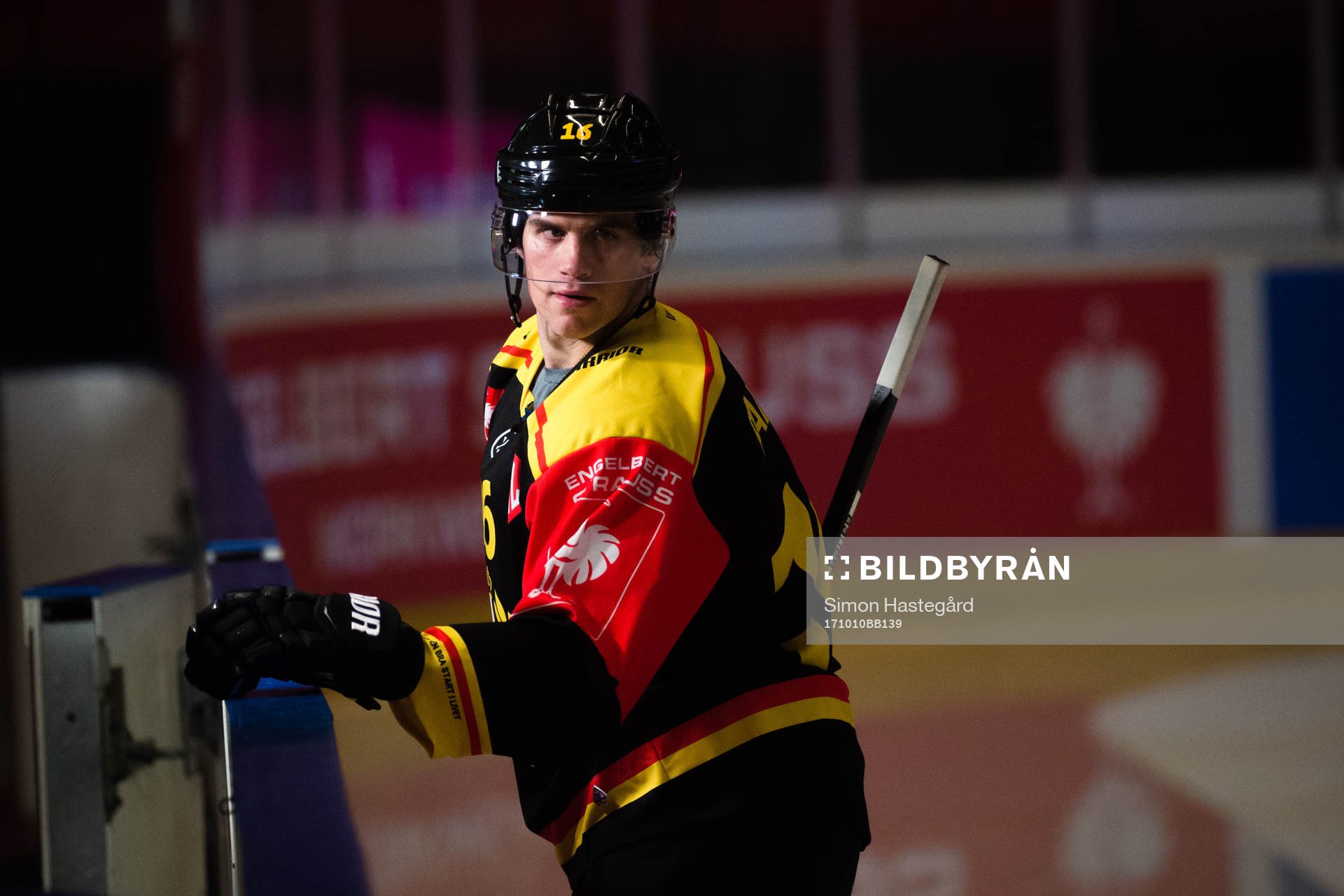 Daniel Paille of Brynäs