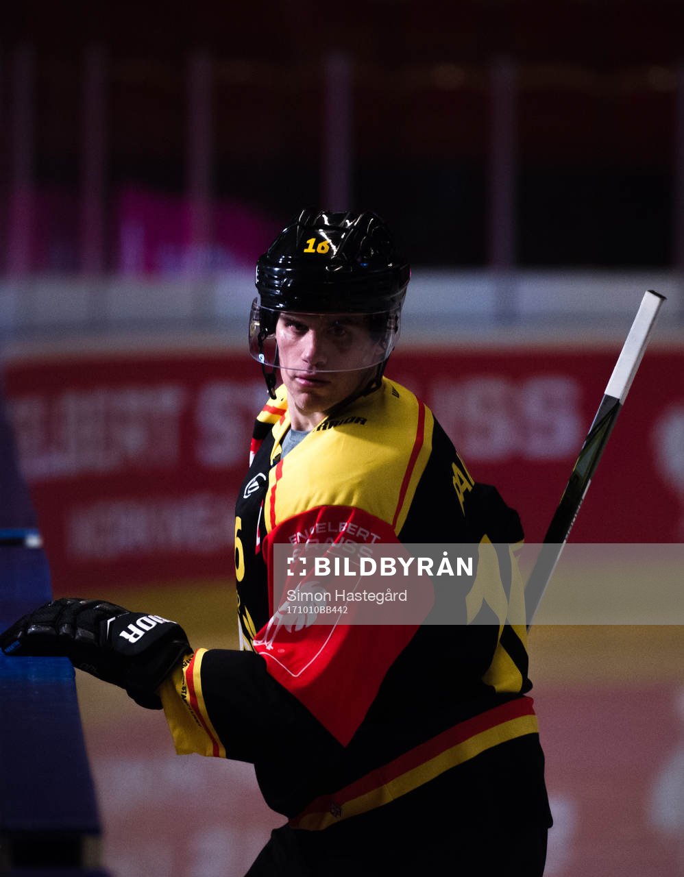 Daniel Paille of Brynäs
