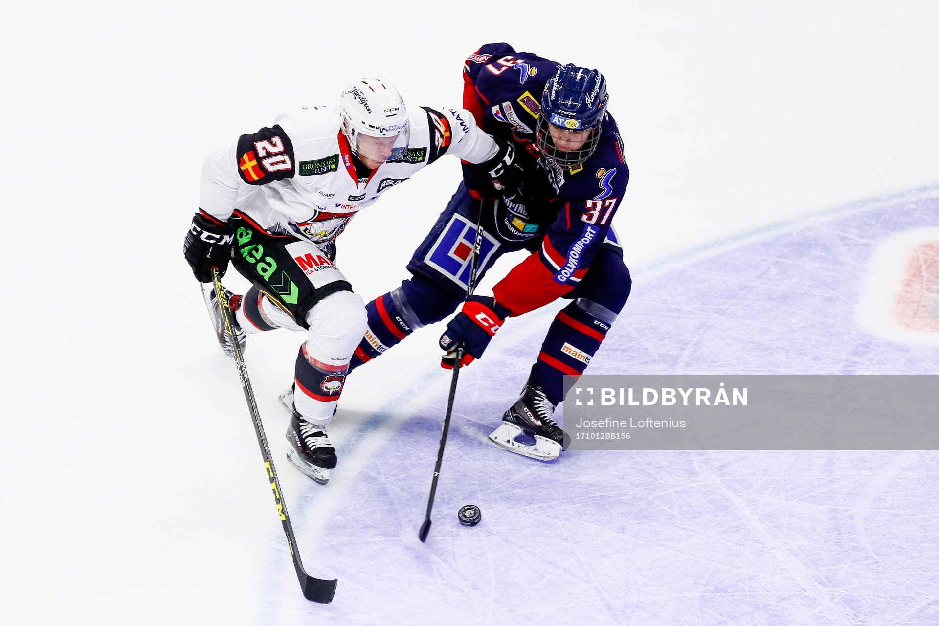 Linköpings Adam Ginning och Malmö Redhawks Erik Forssell