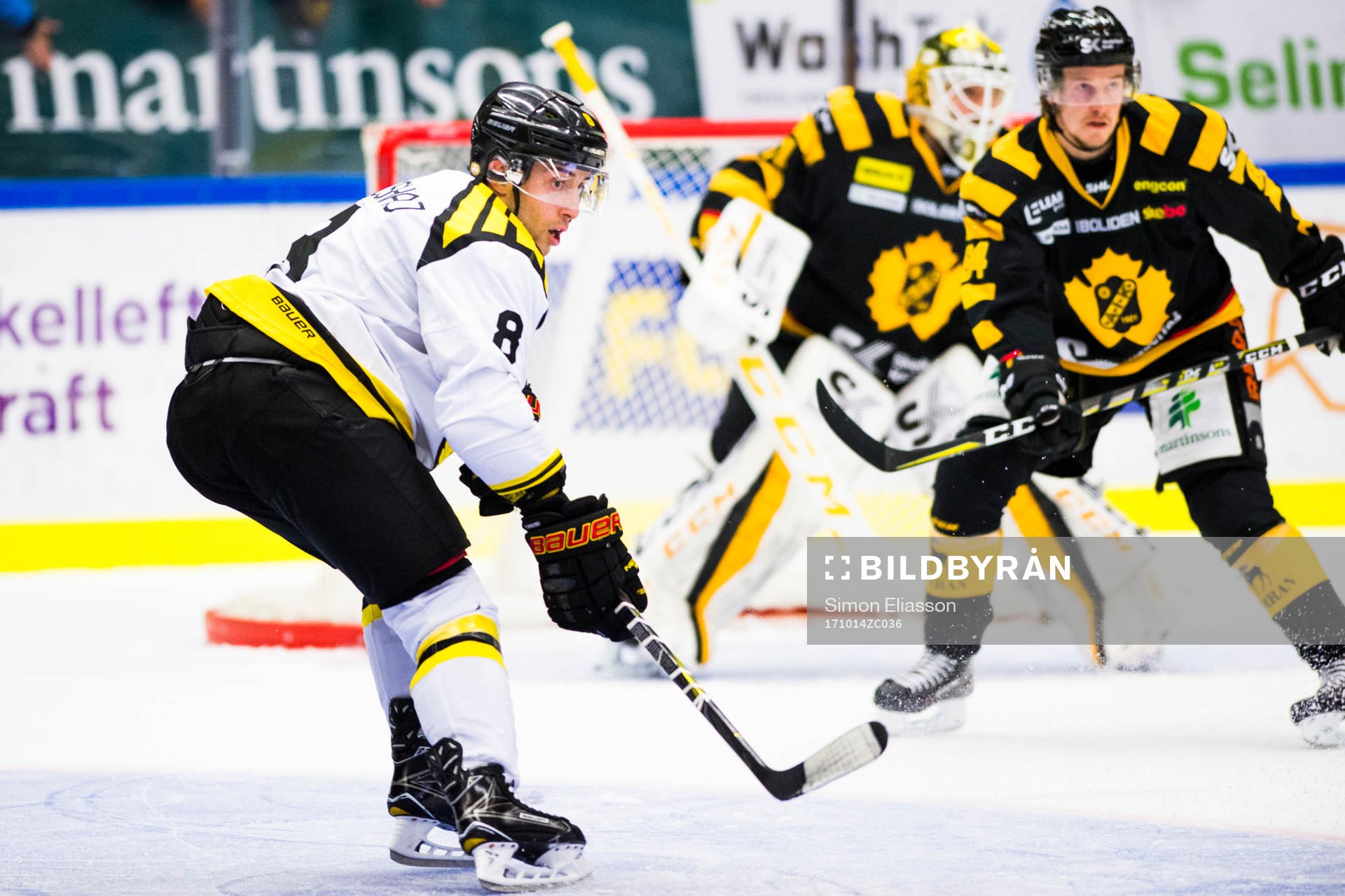 Brynäs Aaron Palushaj