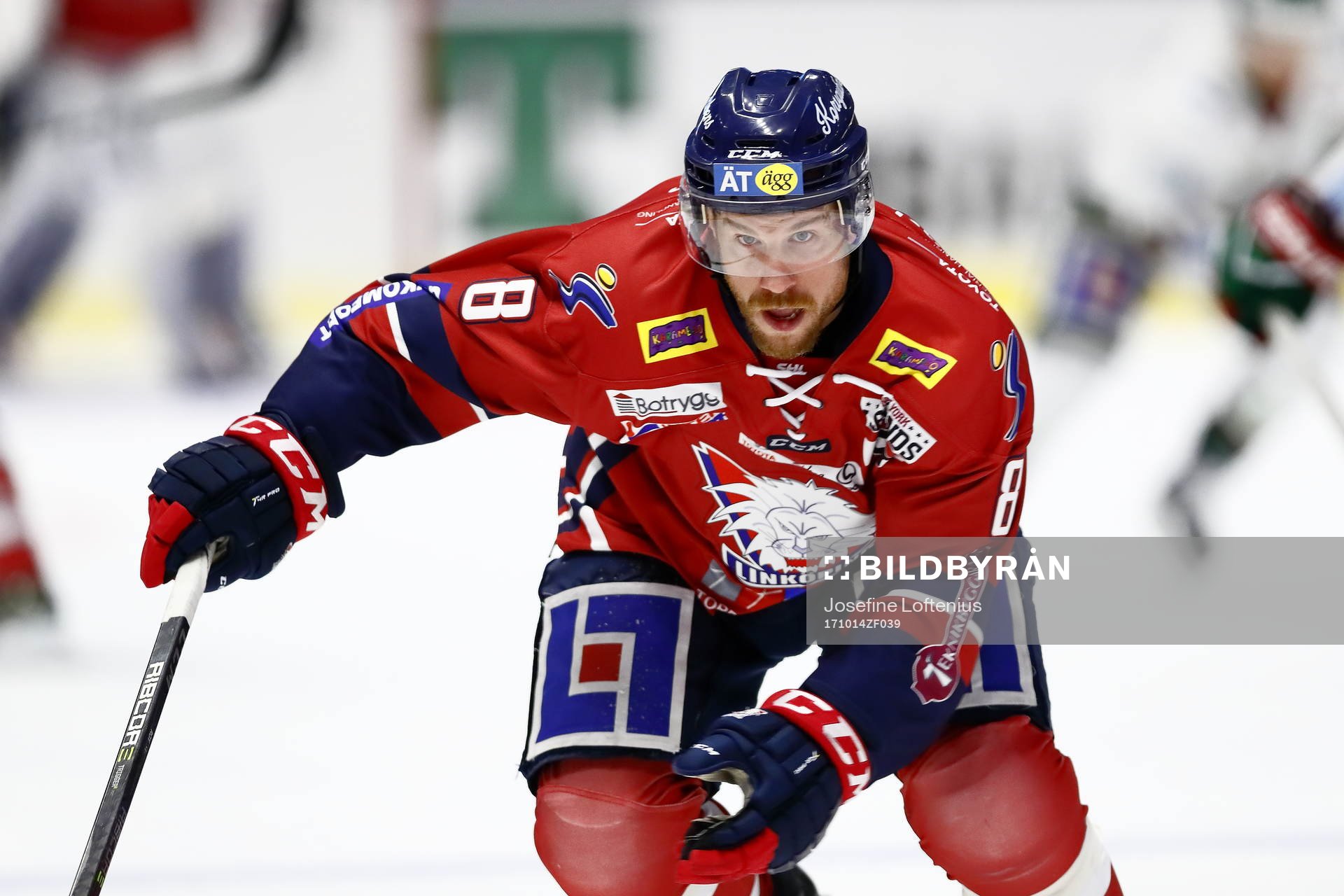 Linköpings Derek Roy