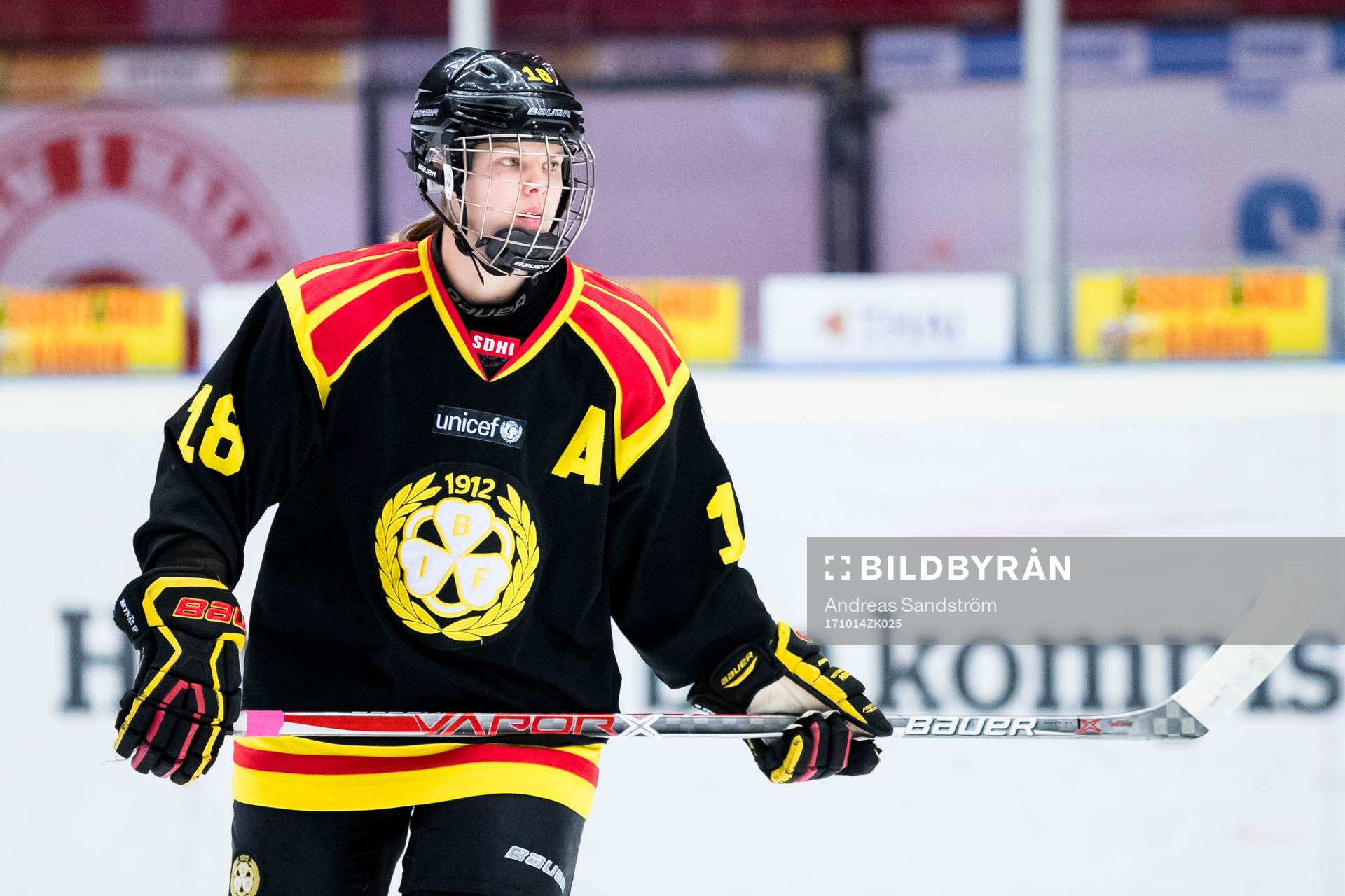 Brynäs Anna Borgqvist