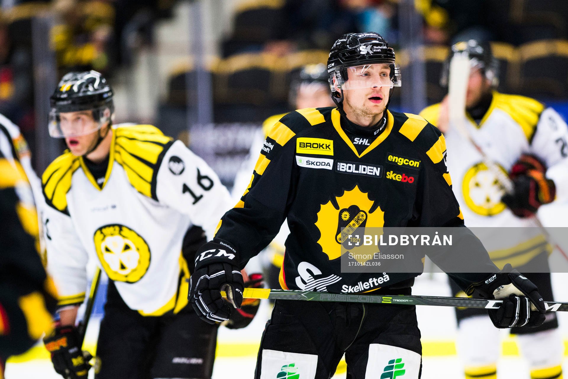 Skellefteås Adam Pettersson