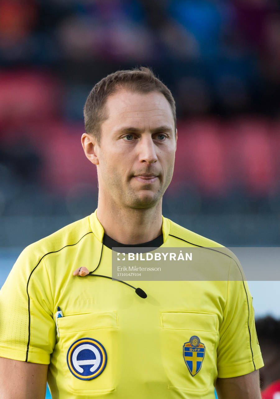 Domare Mikael Hallin