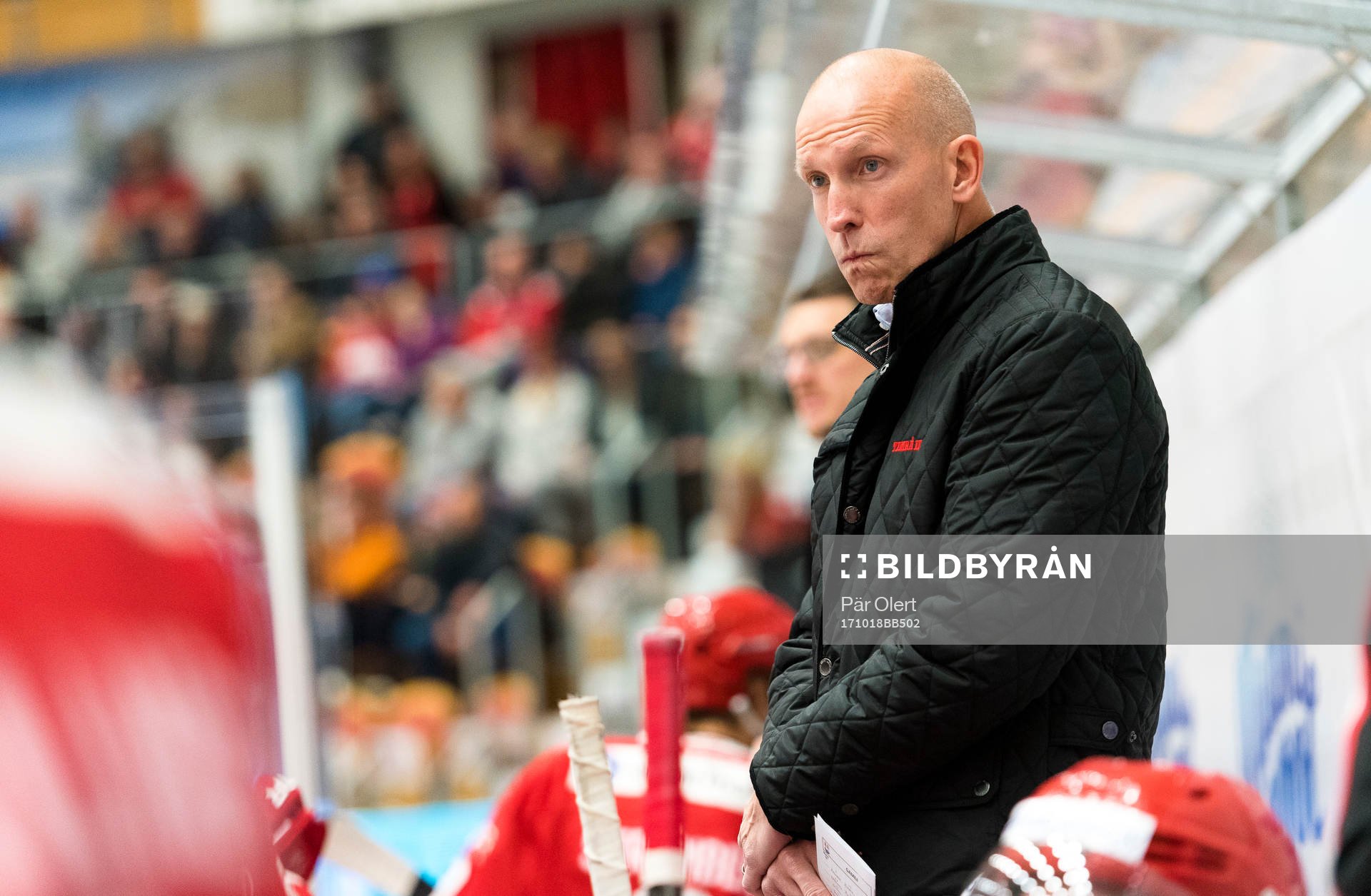 Timrås tränare Fredrik Andersson