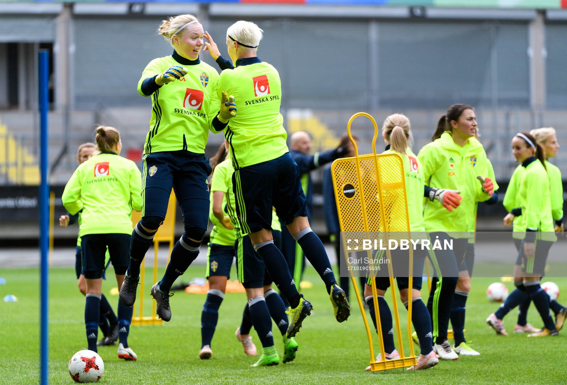 Målvakt Hedvig Lindahl