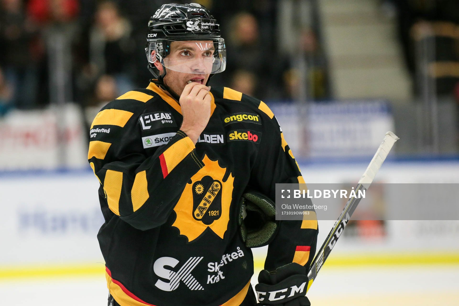 Skellefteås Matt Anderson