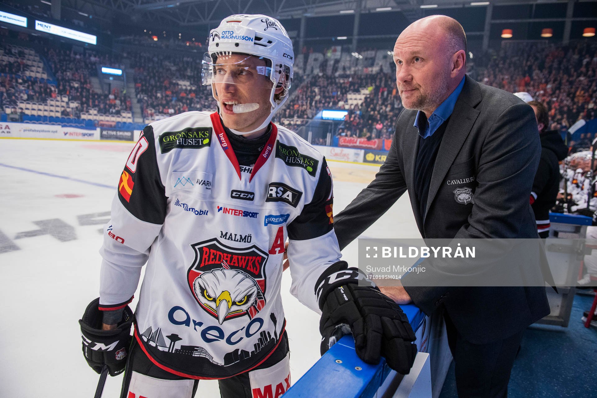 Malmö Redhawks tränare Peter Andersson och Robin Alvarez