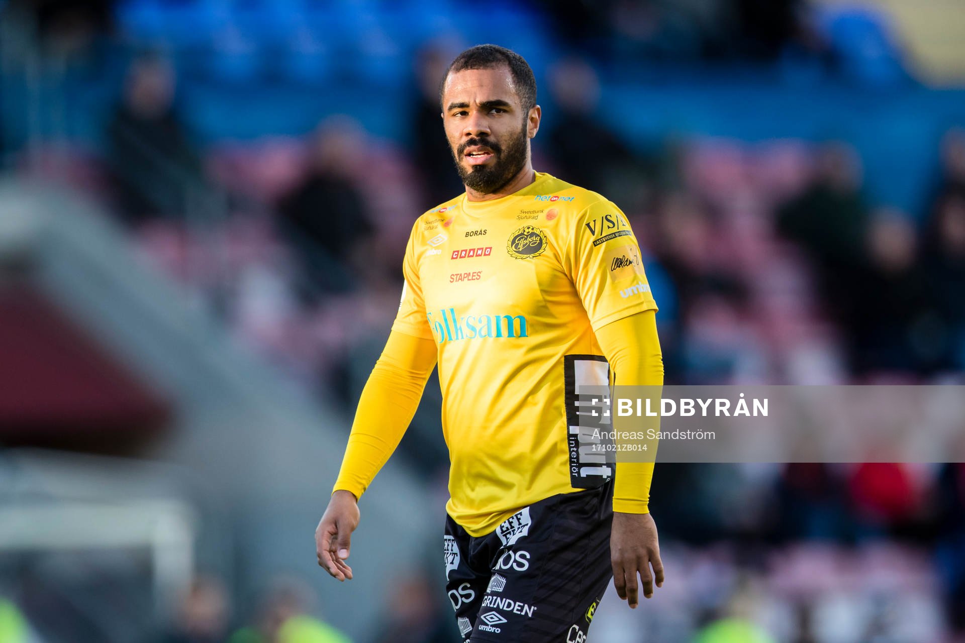 Elfsborgs Alex Dyer