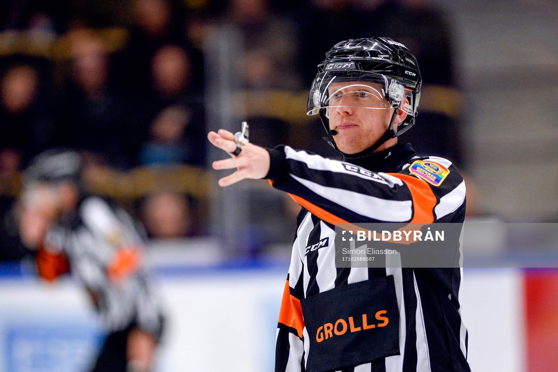 Domare Mikael Holm