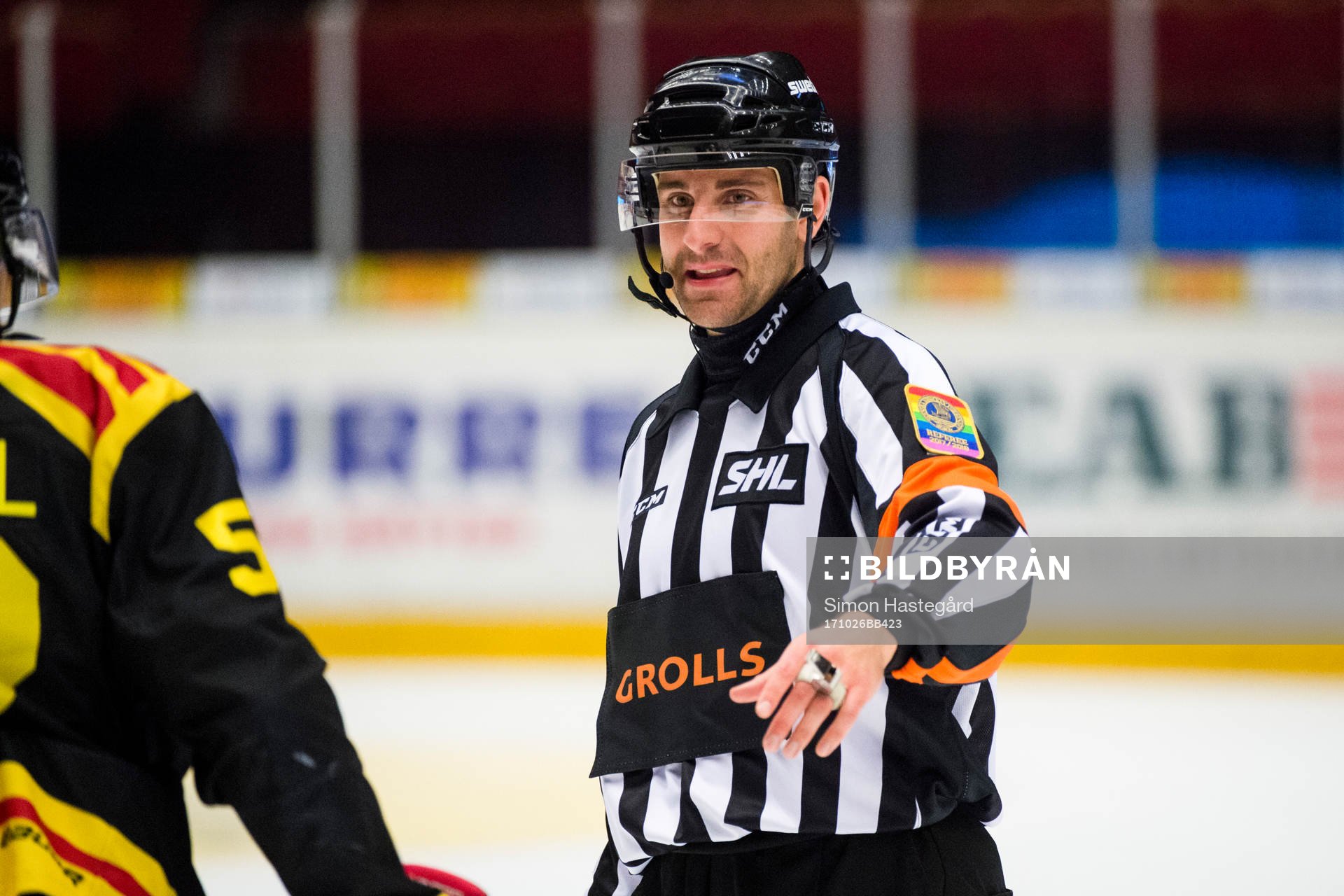 Domare Mikael Sjöqvist