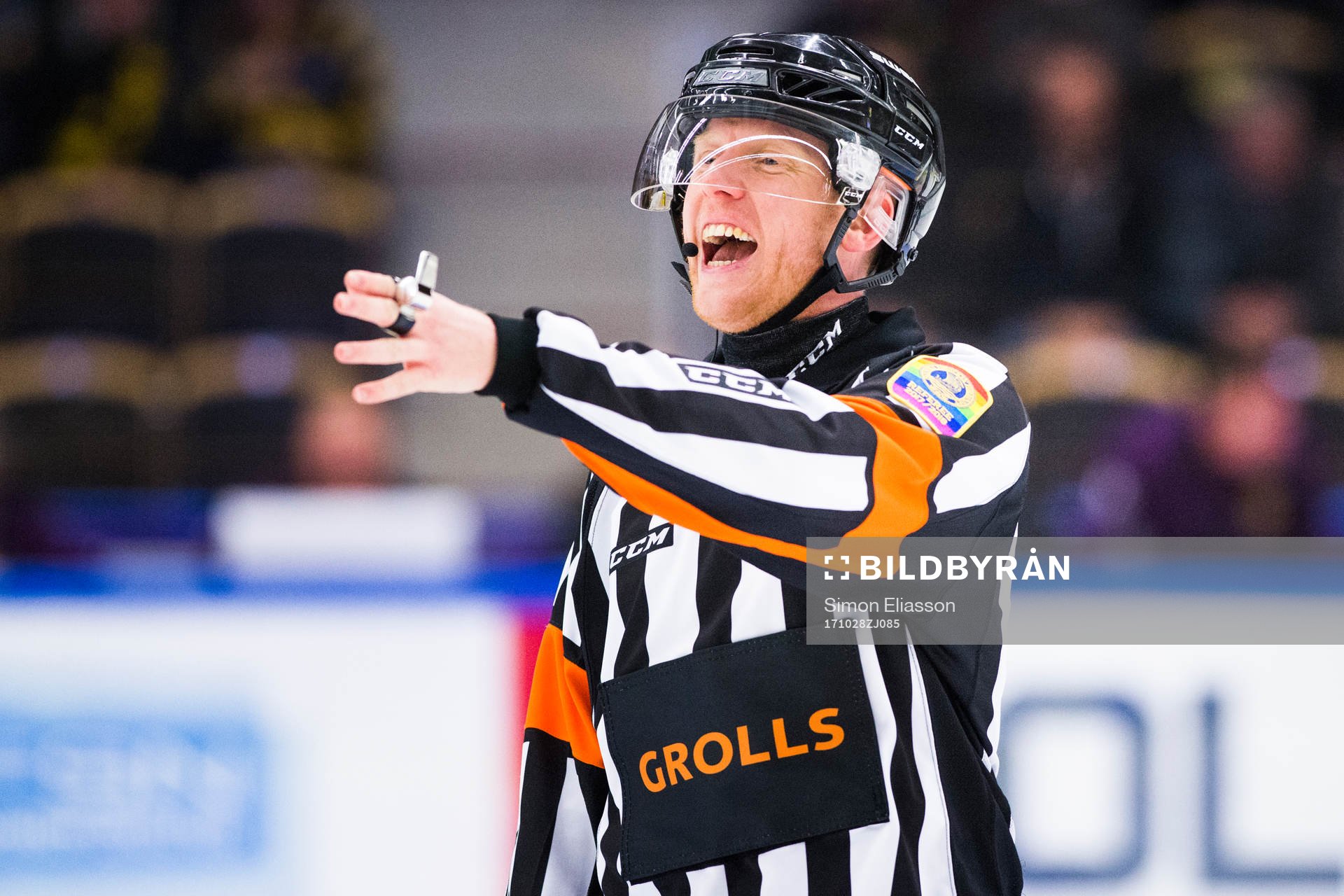 Domare Mikael Holm
