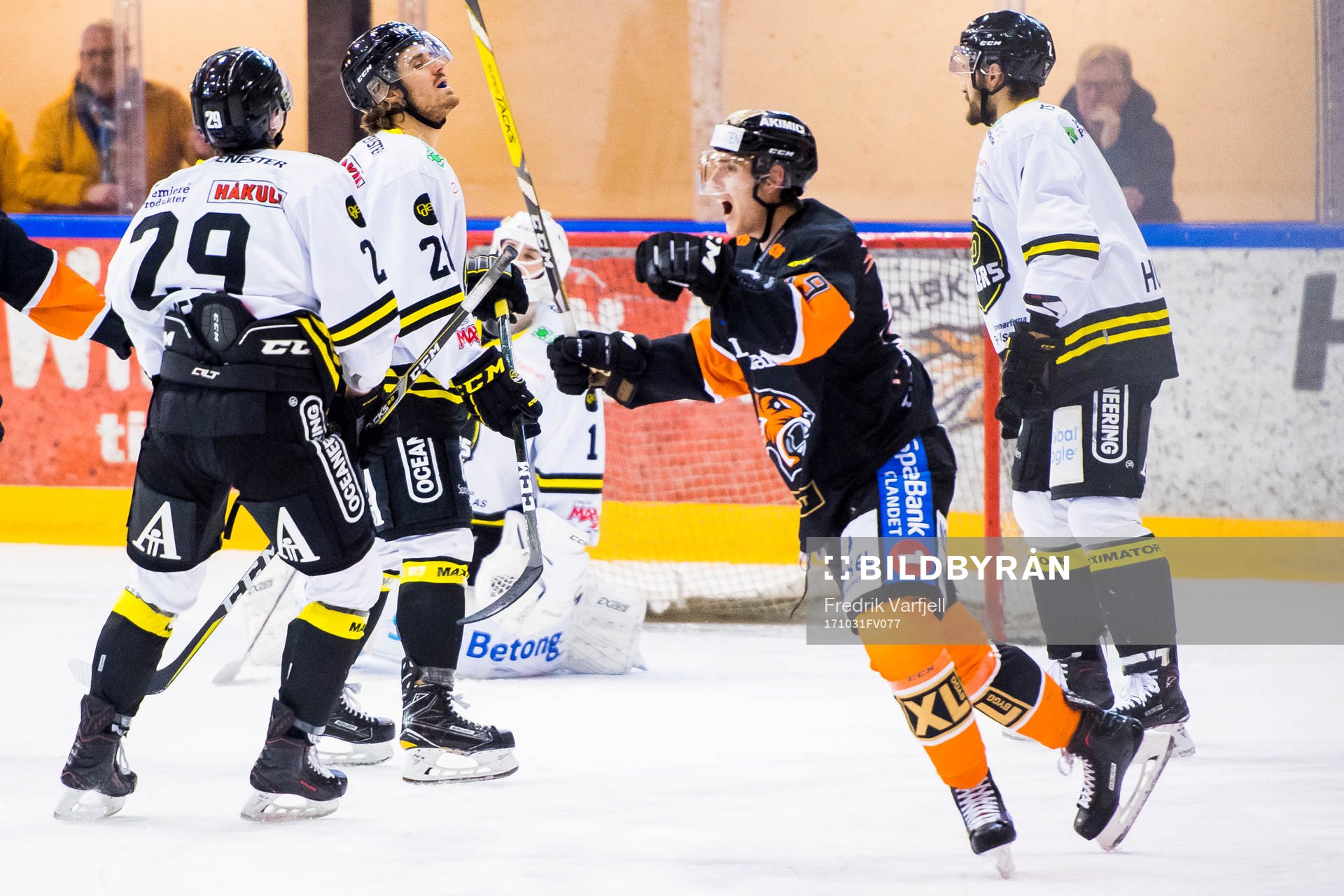 Curtis Jason Gedig, Kristian Forsberg, Goaltender Jakob
