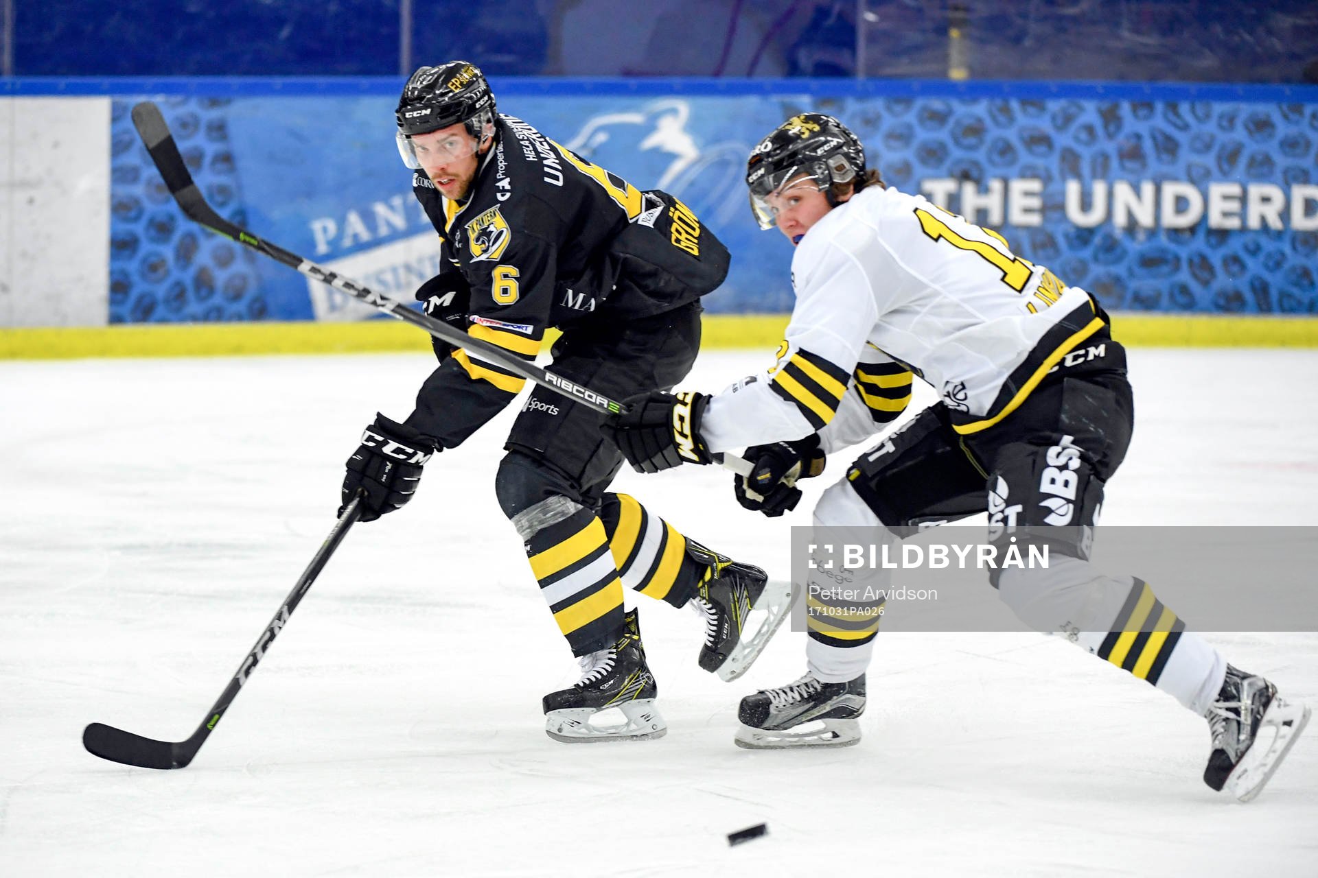 s Max Lindholm