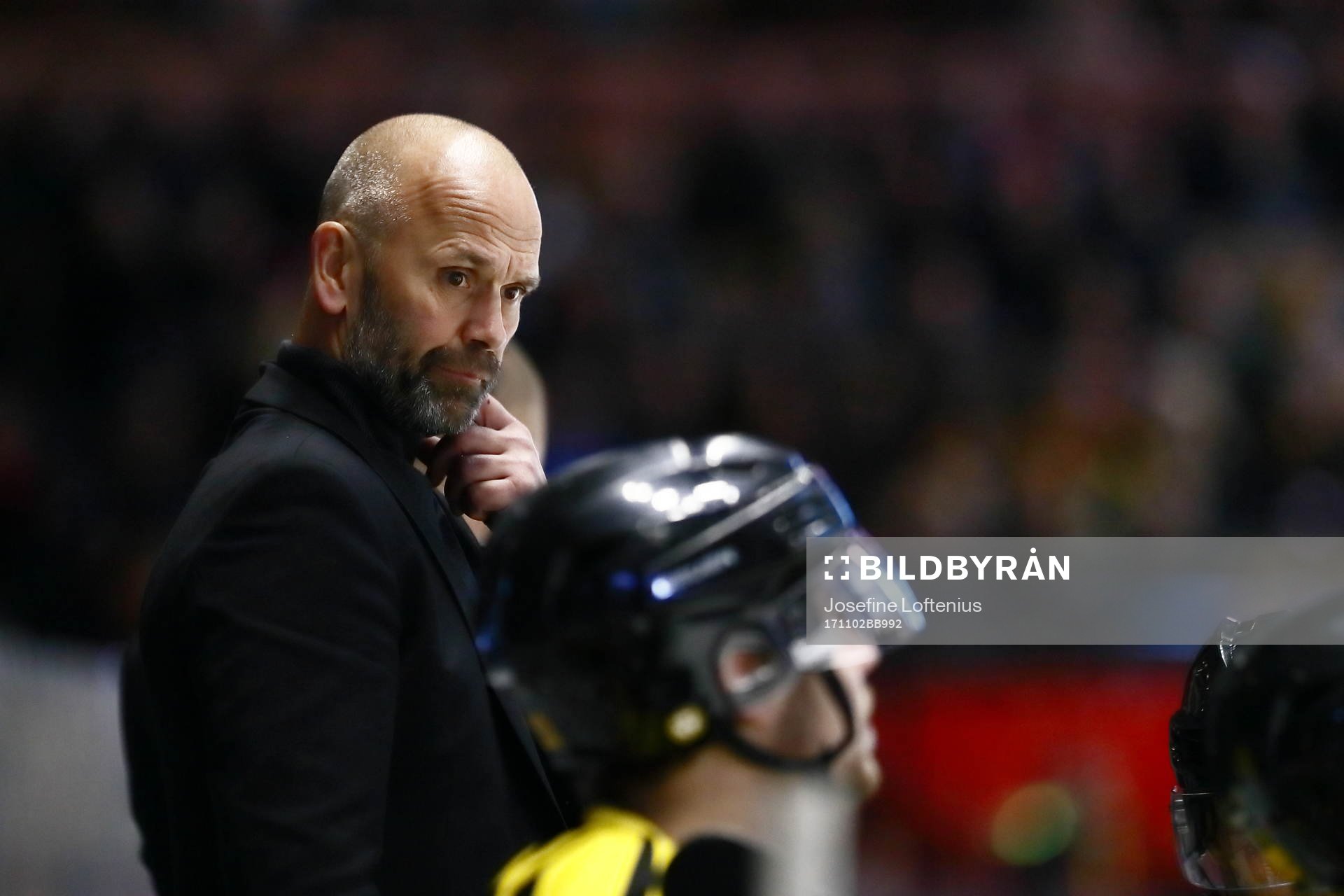 Brynäs tränare Tommy Sjödin