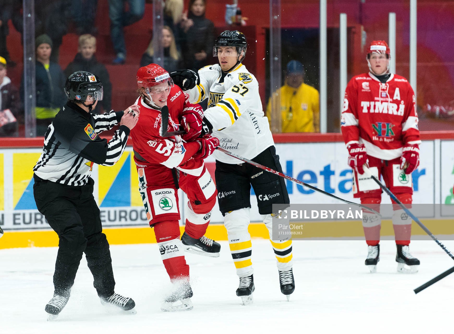 Timrås Jonathan Dahlen