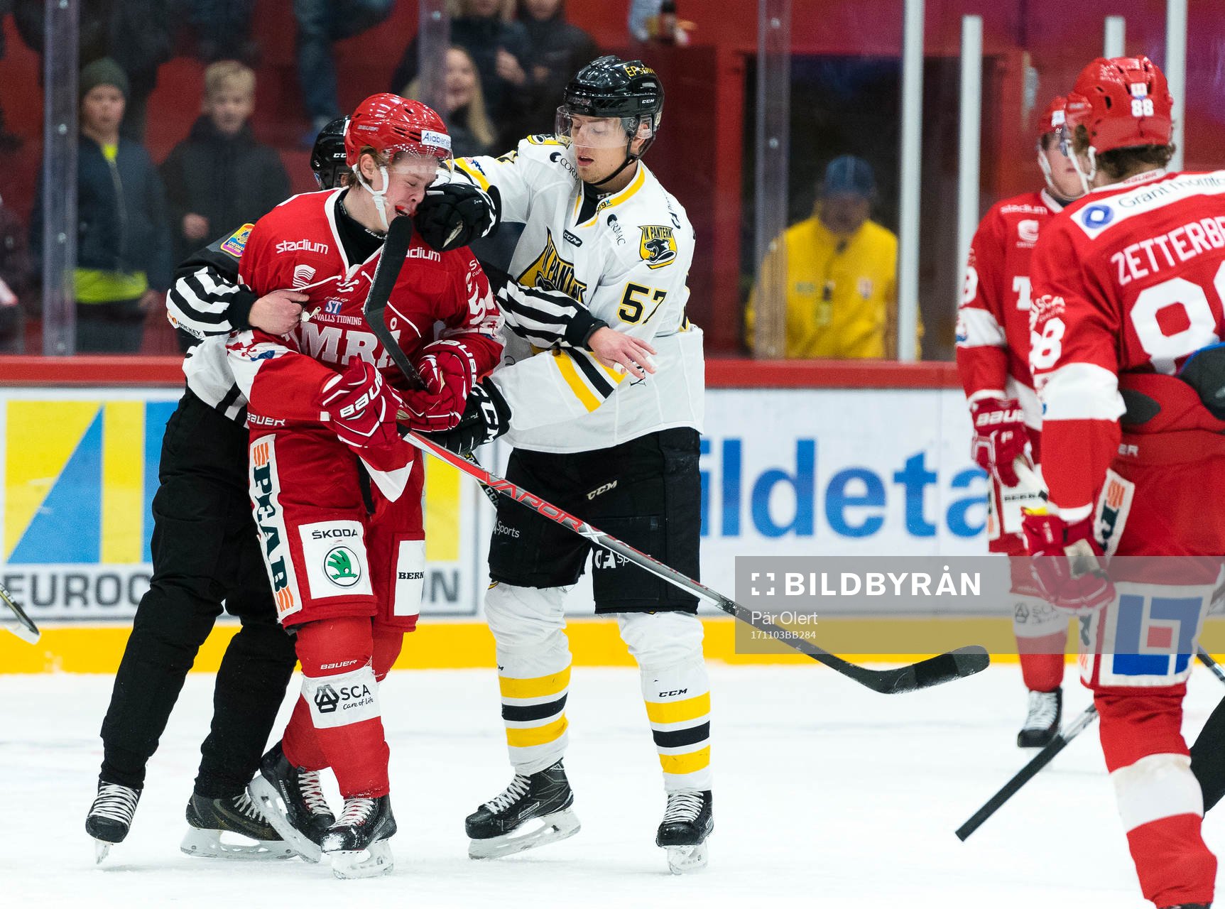 Timrås Jonathan Dahlen