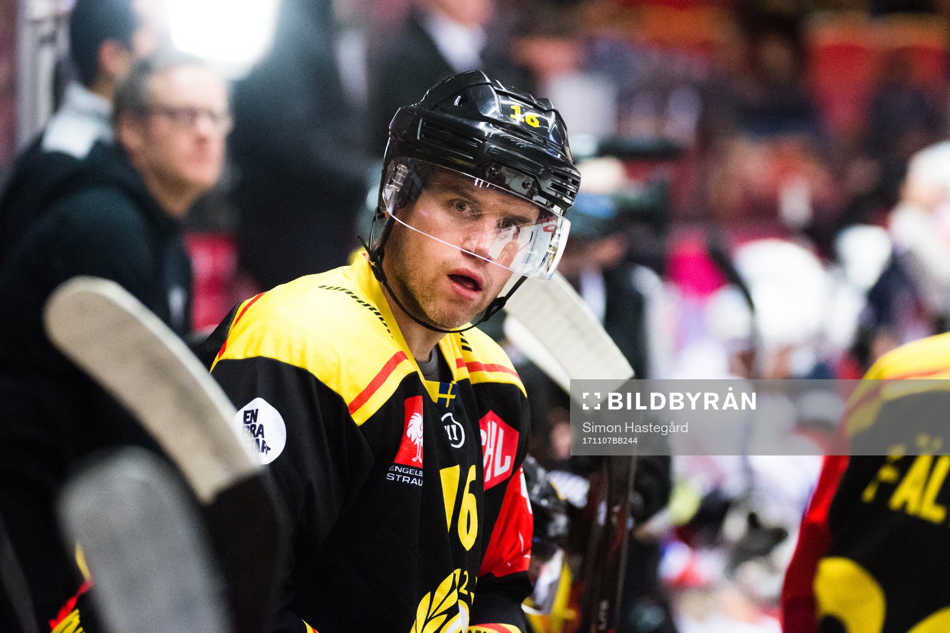Daniel Paille of Brynäs