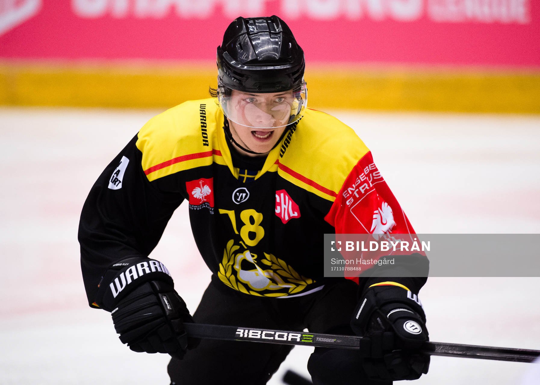 Adam Hirsch of Brynäs