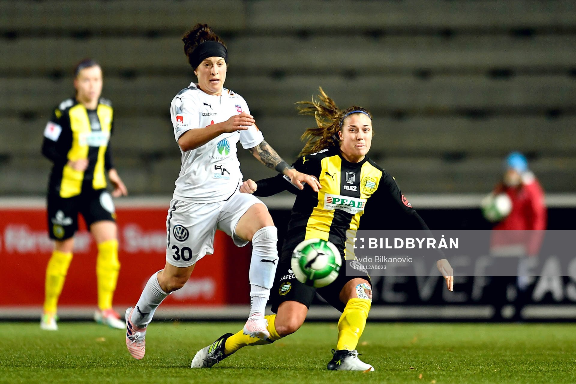 Rosengårds Ella Masar McLeod