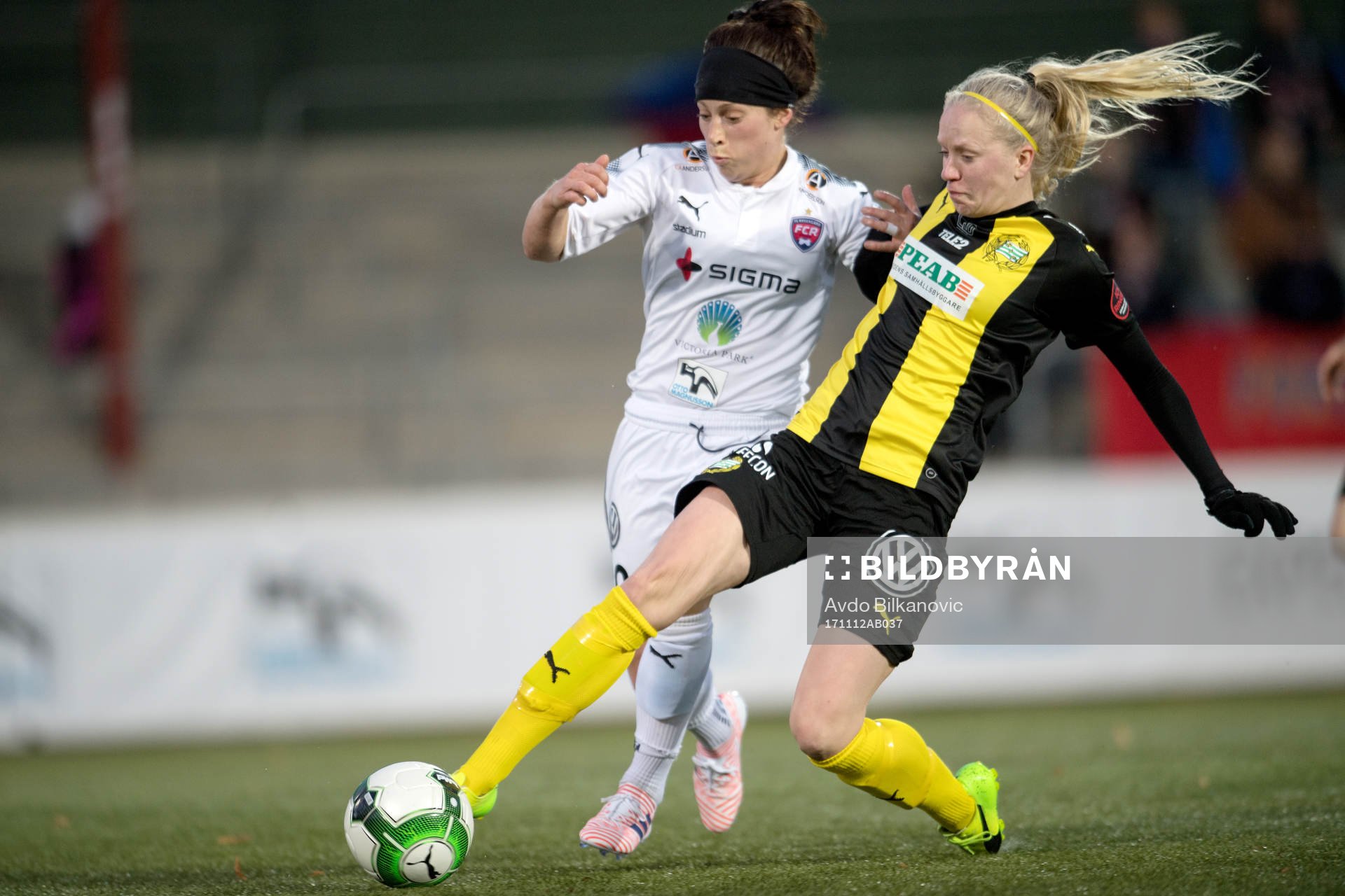 Rosengårds Ella Masar McLeod