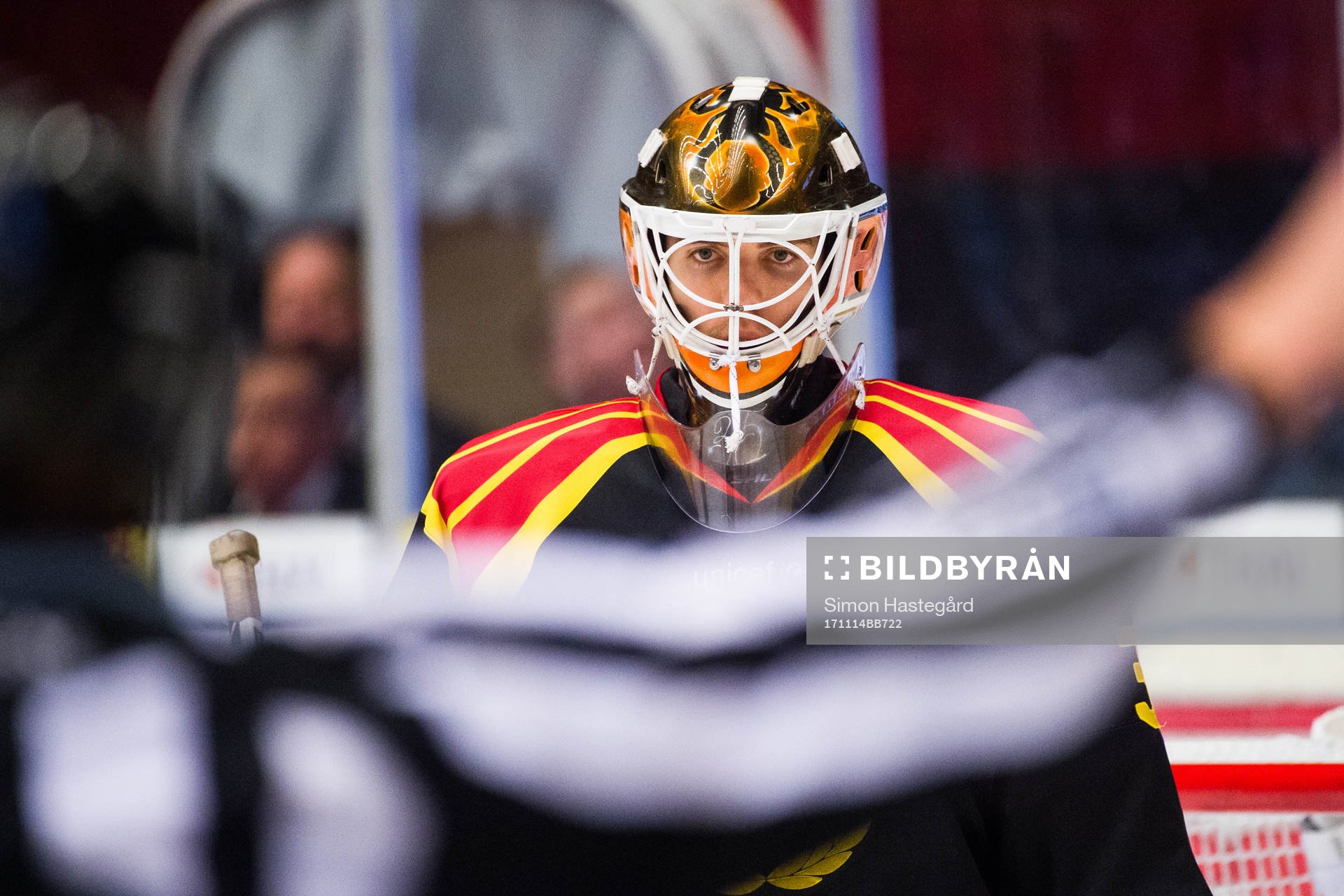 Brynäs målvakt Linus Fernström