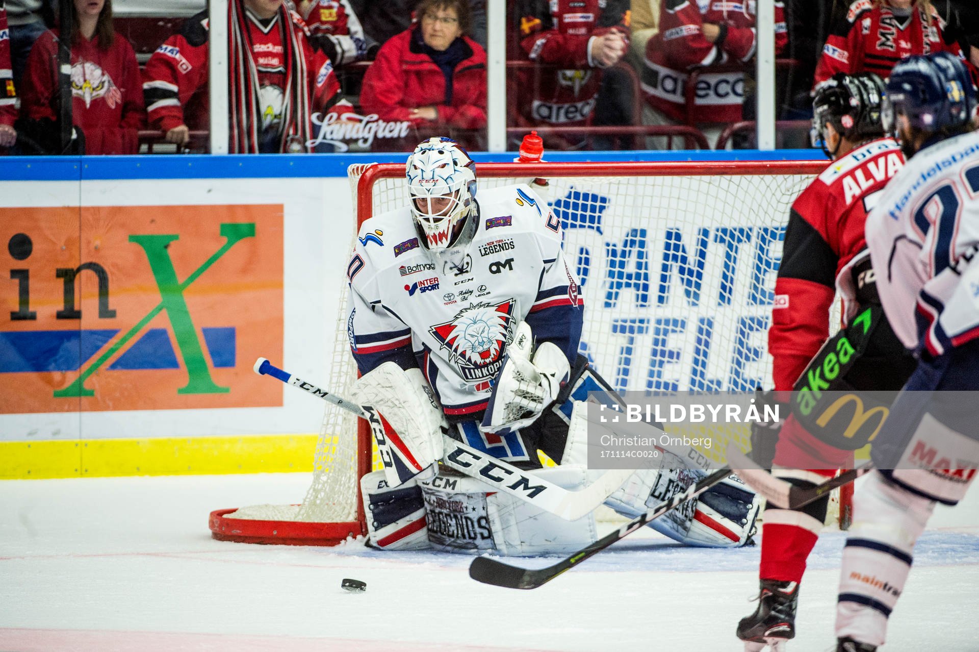 Malmö Redhawks Robin Alvarez mot Linköpings målvakt