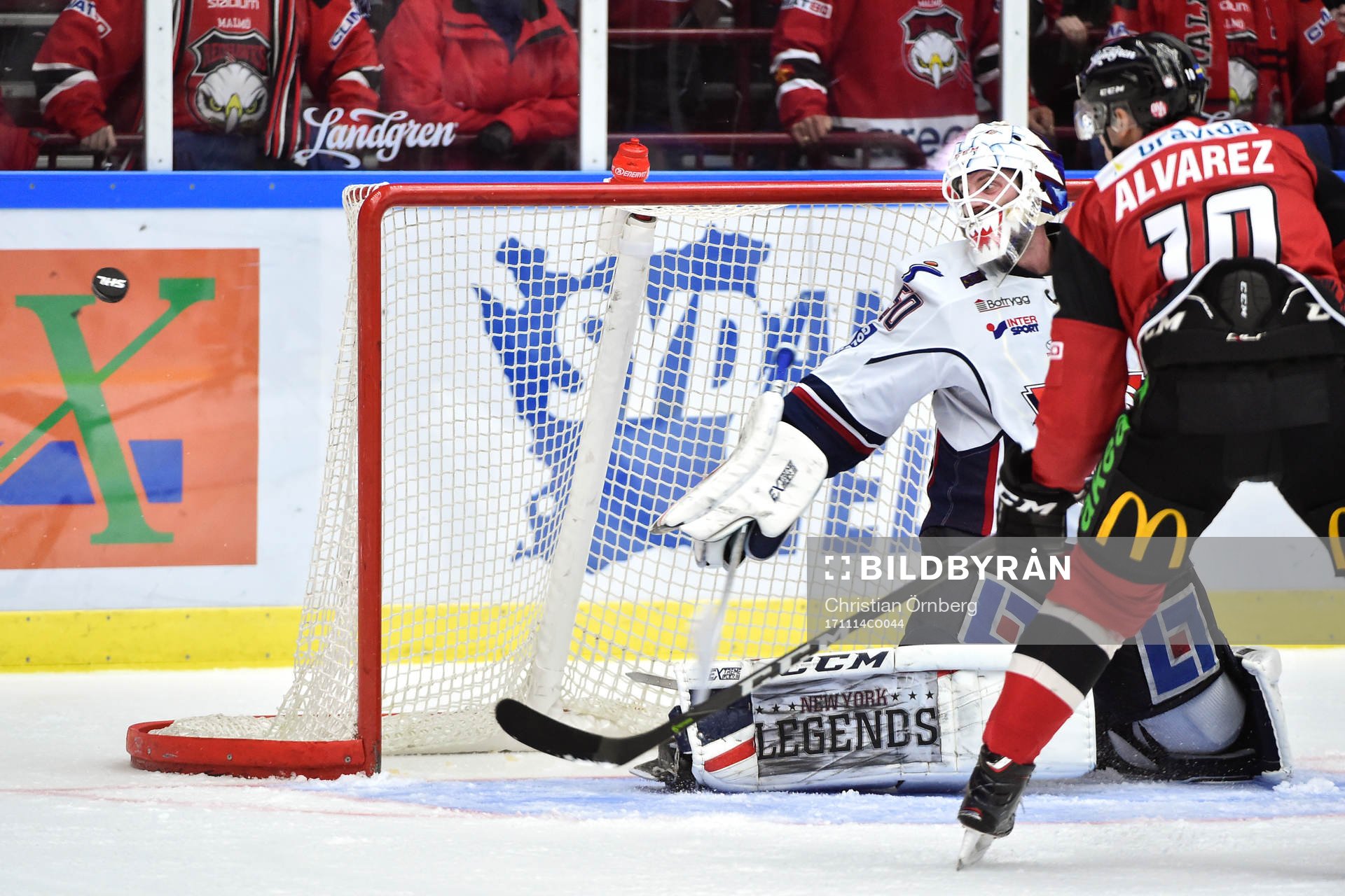 Malmö Redhawks Robin Alvarez oroar framför Linköpings