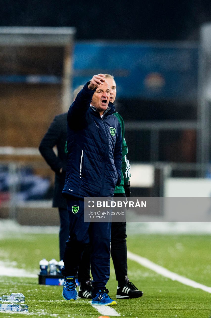 Noel King, coach of Ireland