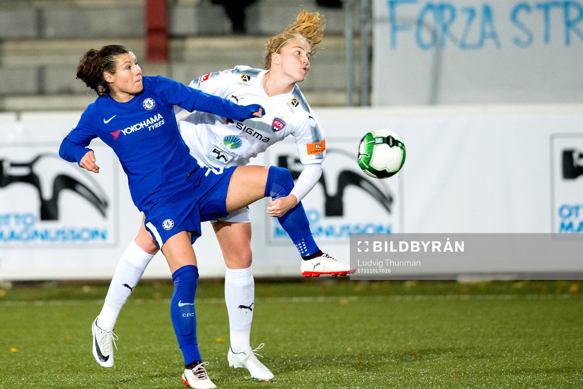 Chelseas Ramona Bachmann och Rosengårds Glodis Perla
