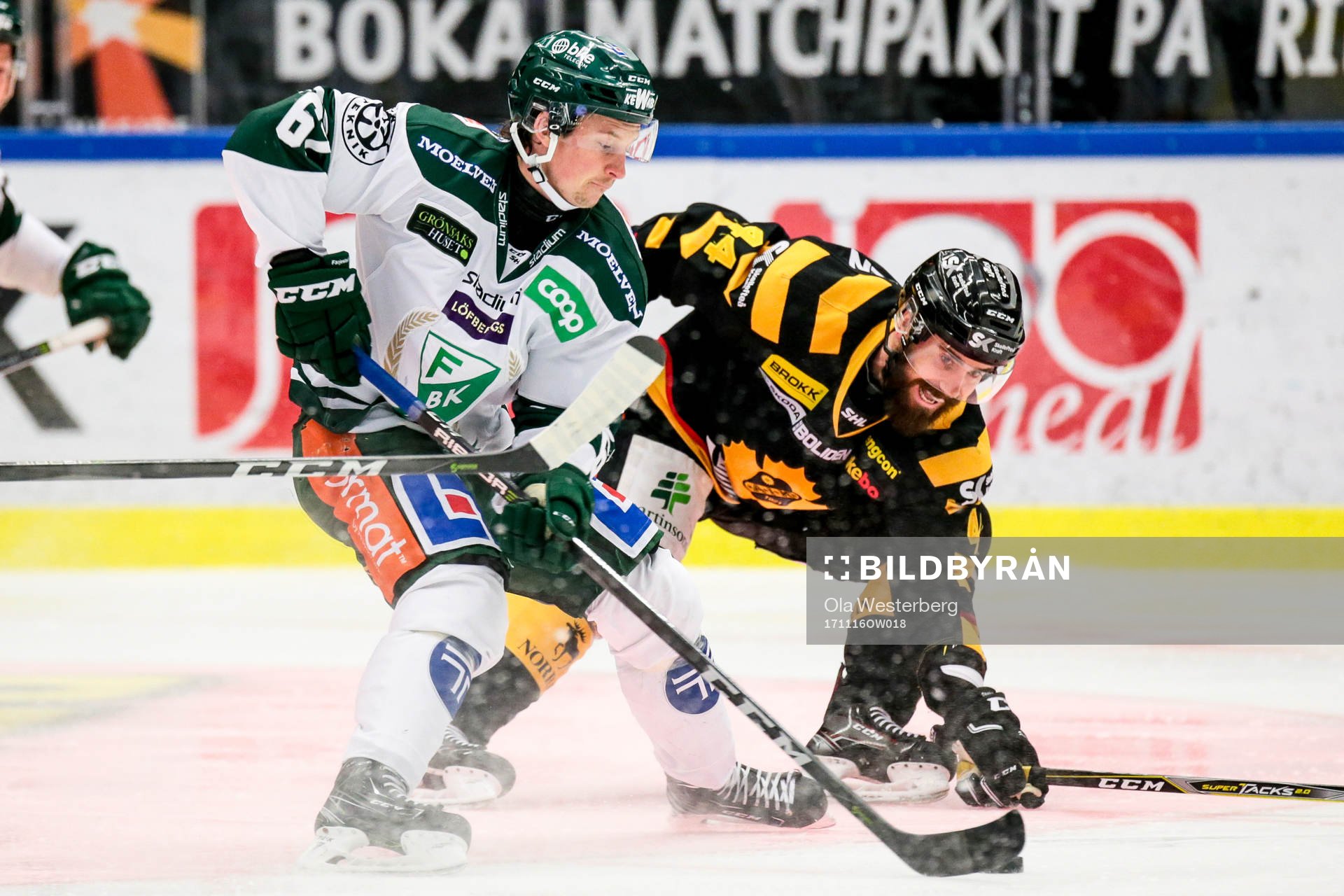 Skellefteås Morgan Ellis