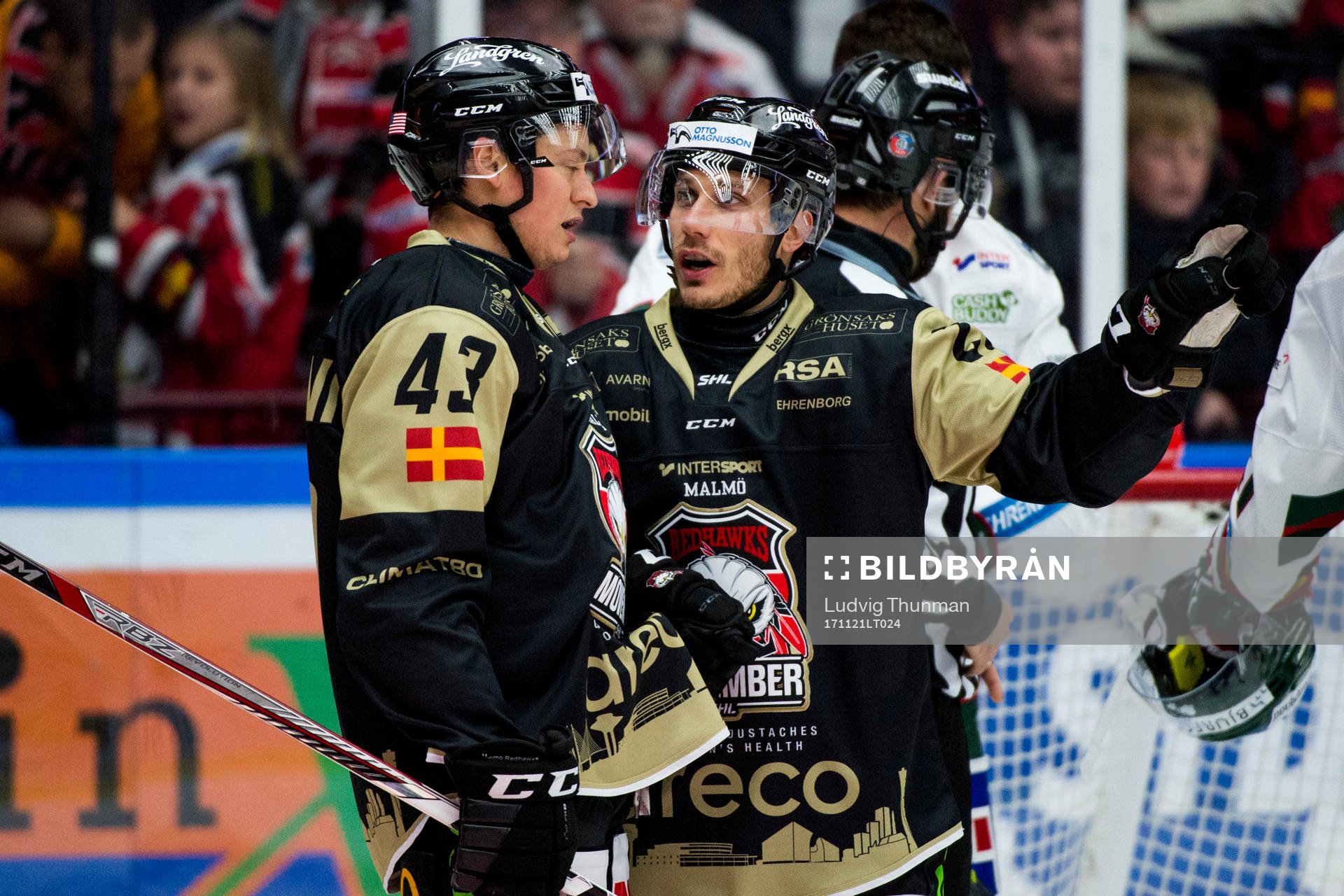 Malmö Redhawks Nichlas Hardt och Malmö Redhawks Rhett