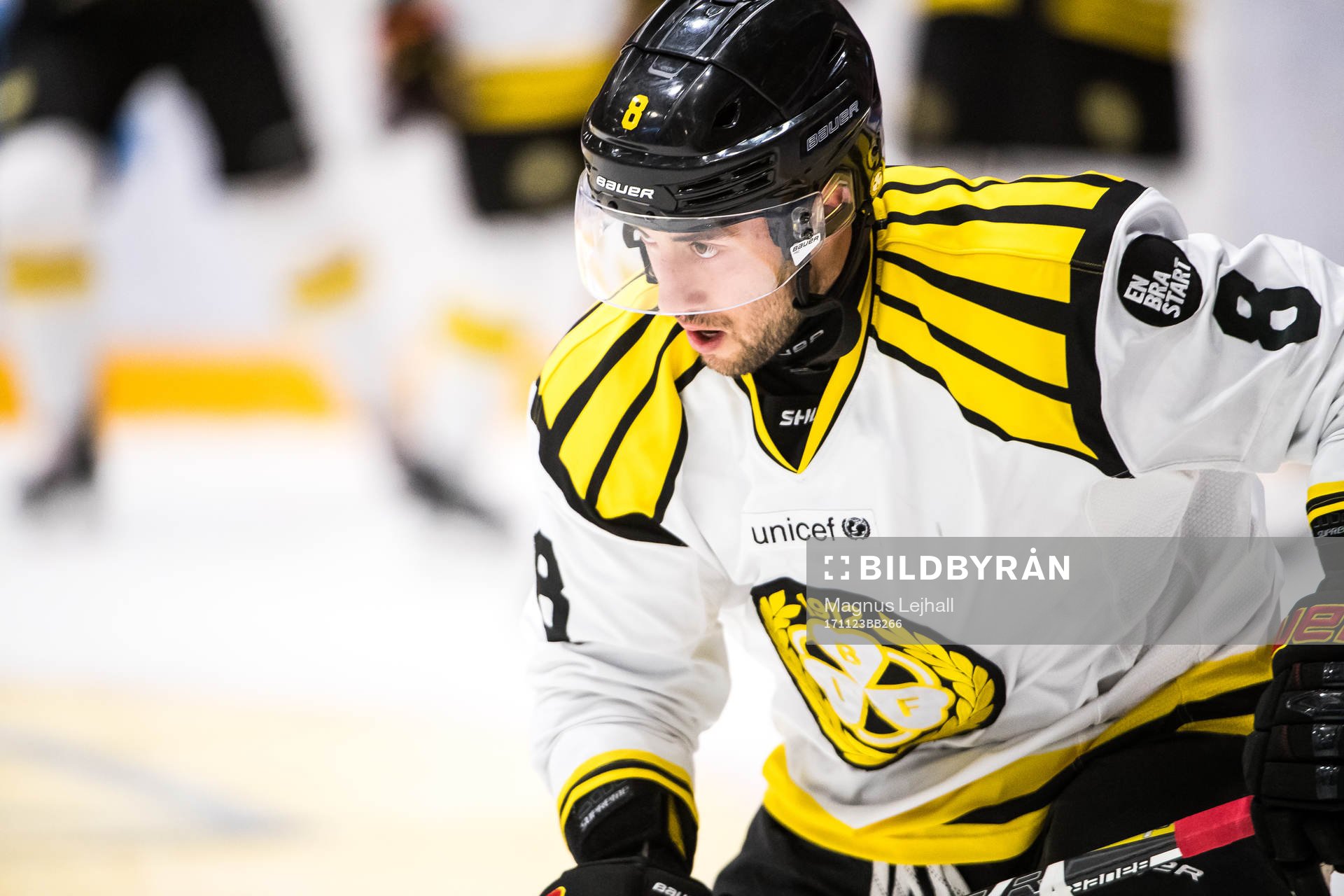 Brynäs Aaron Palushaj