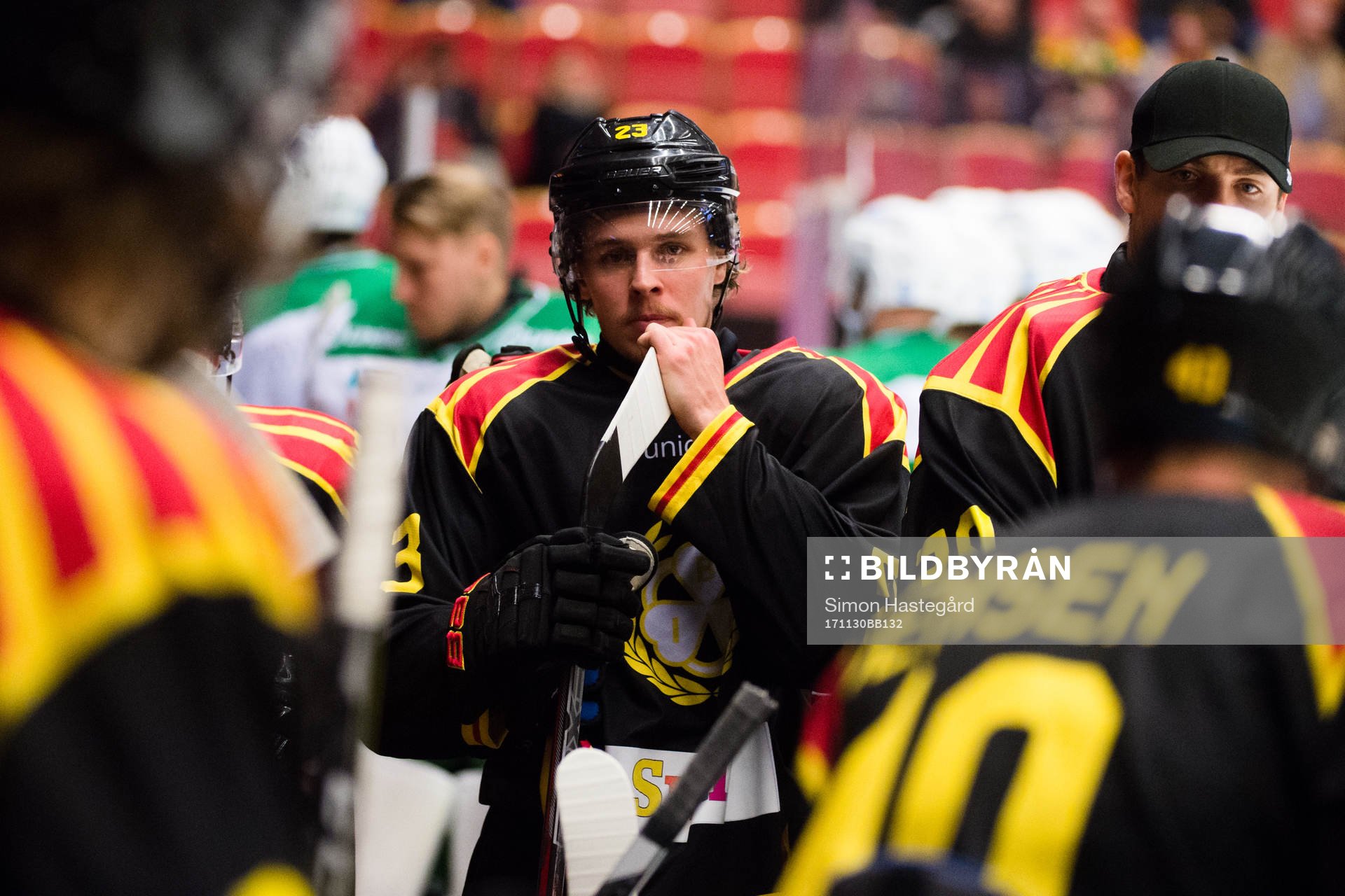 Brynäs Lucas Carlsson