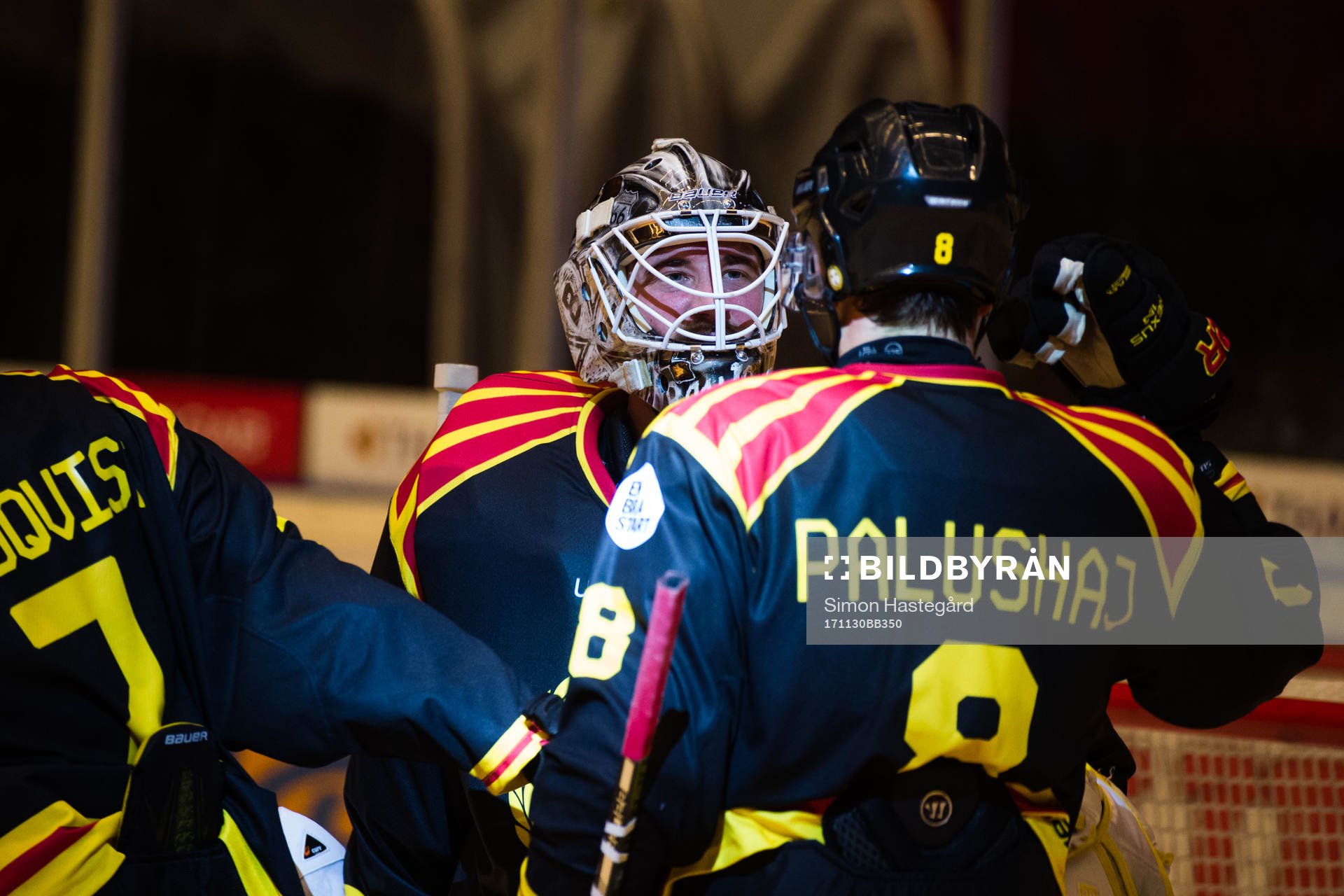 Brynäs målvakt David Rautio jublar med Aaron Palushaj