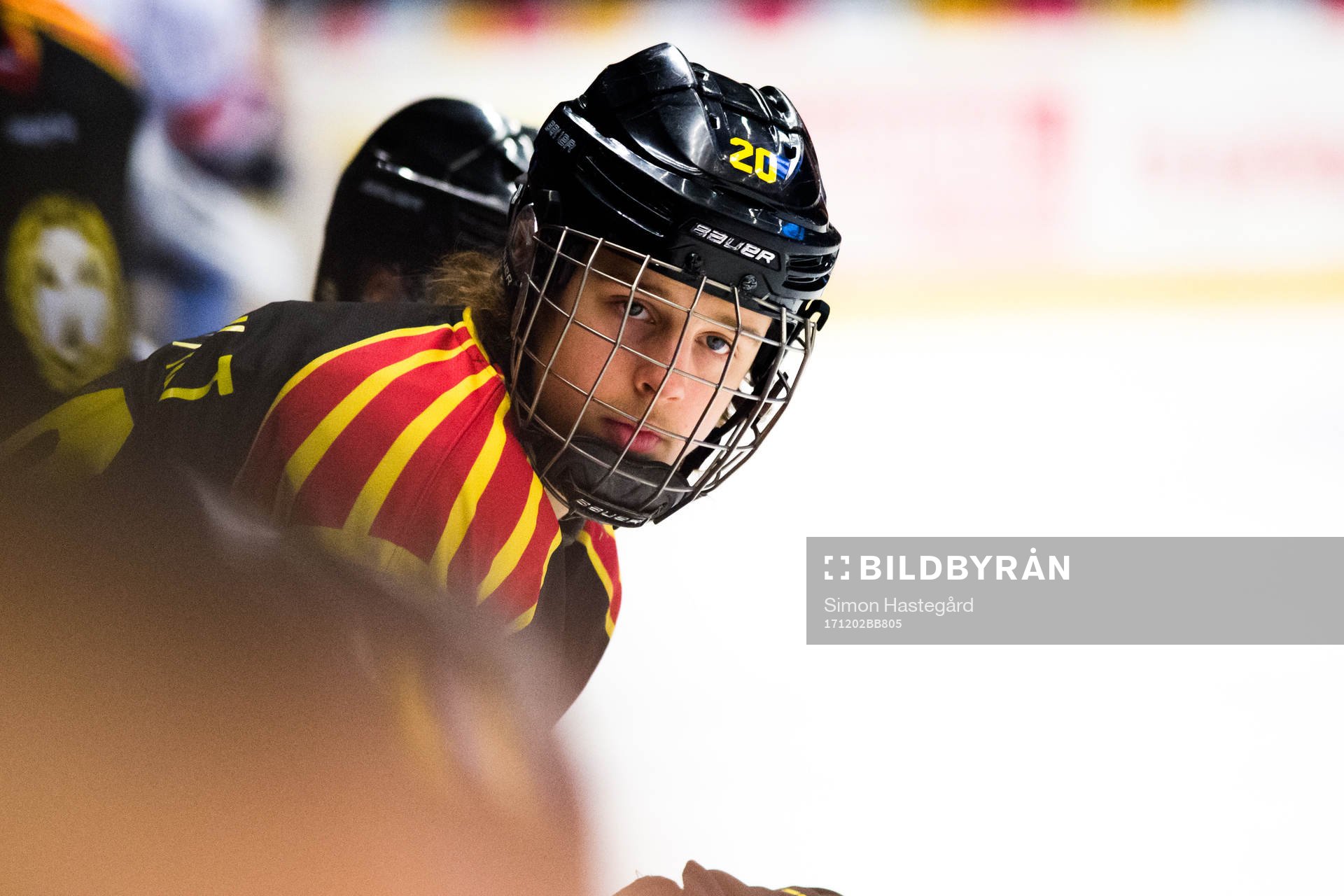 Brynäs Marcus Westfält