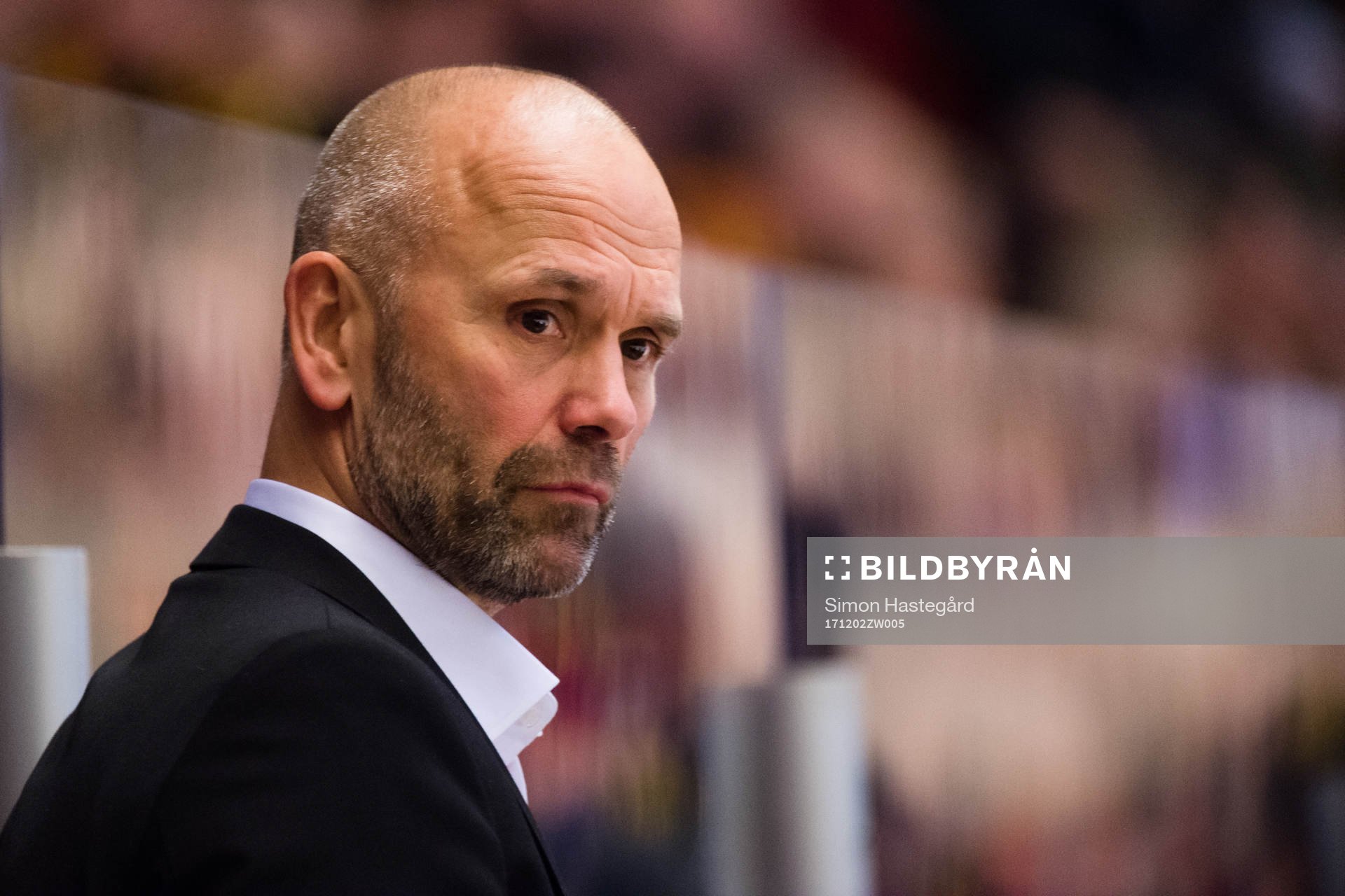 Brynäs tränare Tommy Sjödin