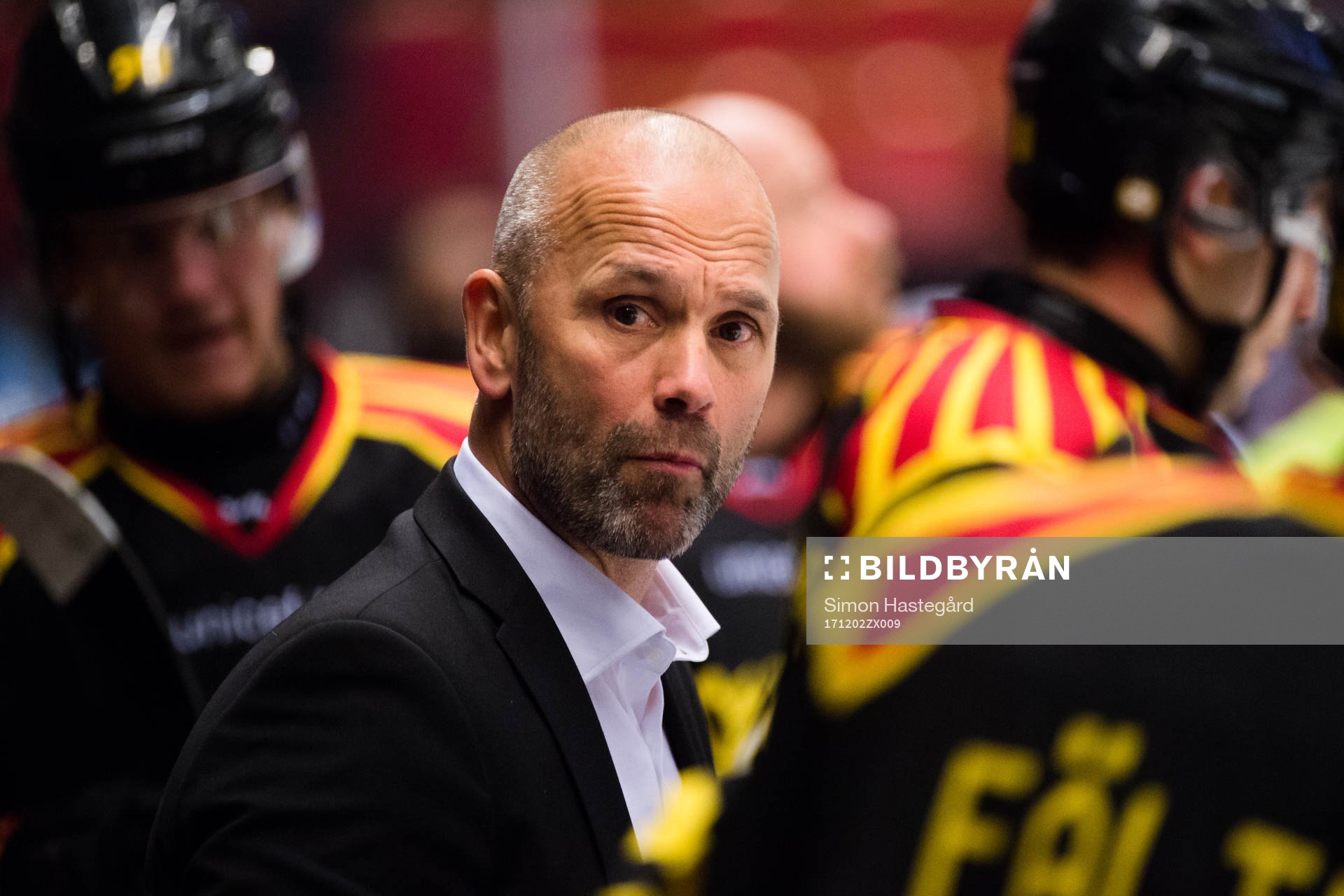 Brynäs tränare Tommy Sjödin