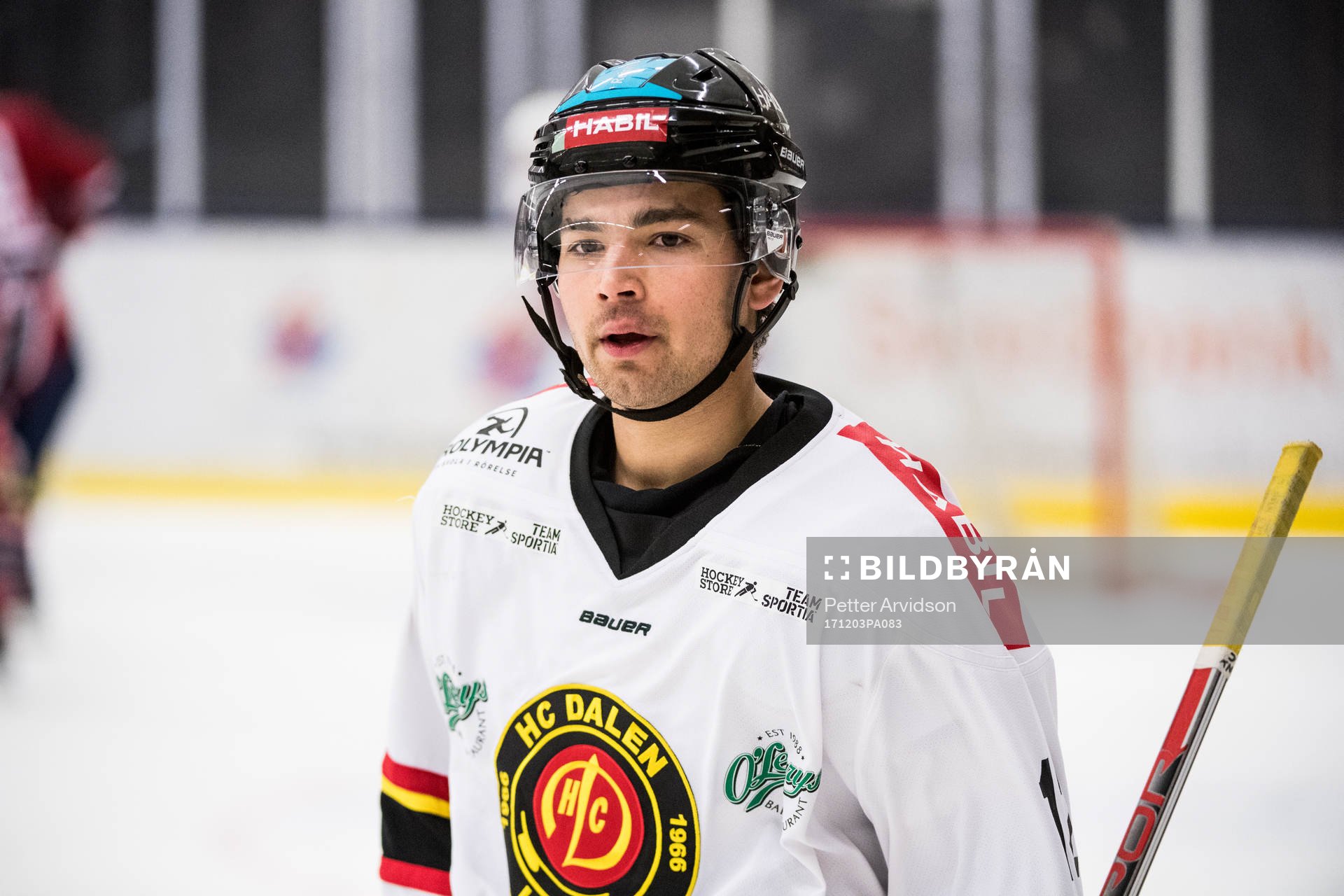 Dalens Dennis Santesson