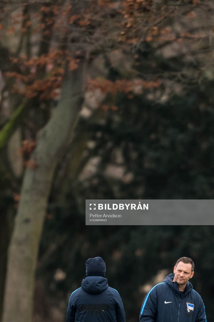 Hertha Berlins tränare Pal Dardai