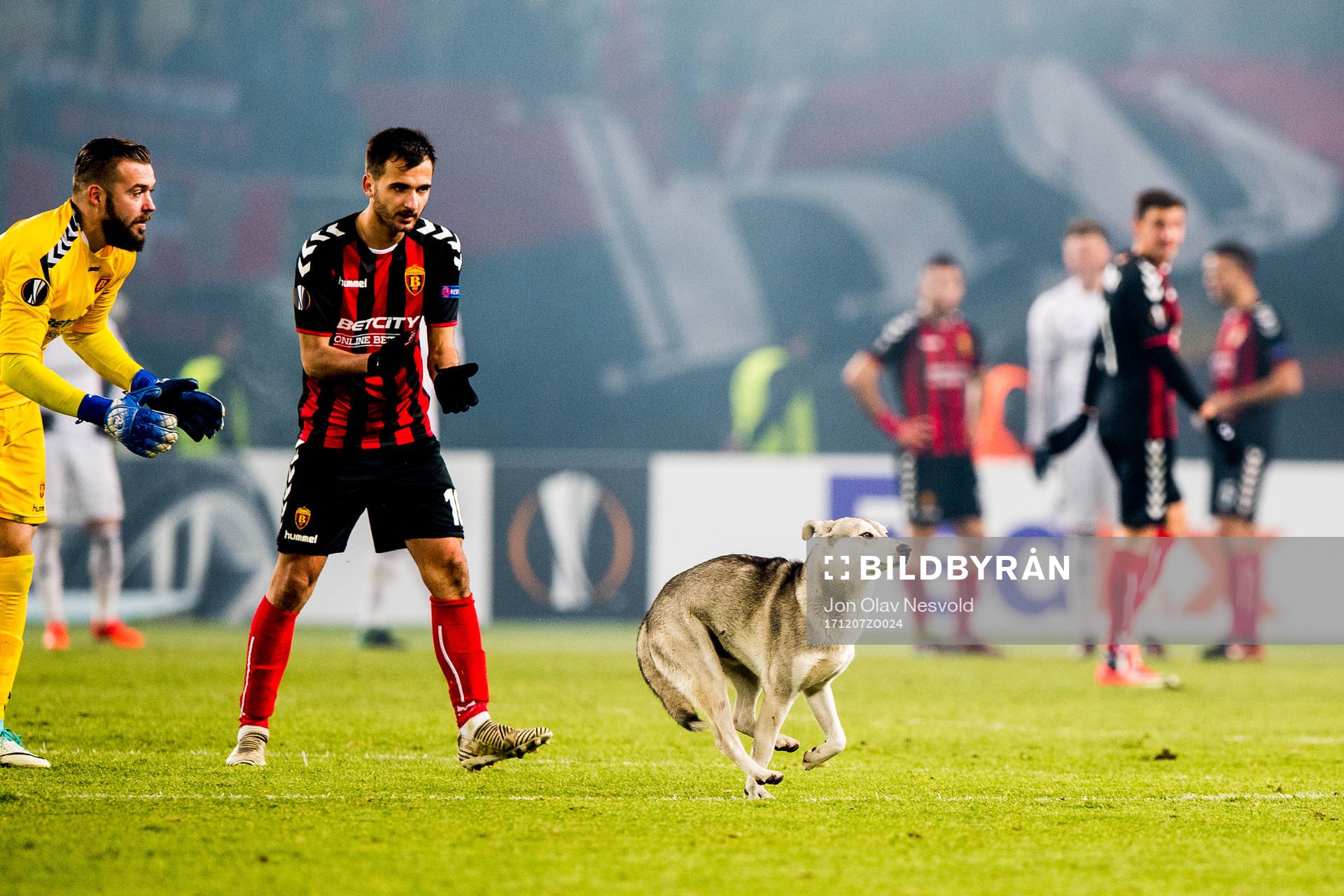 A street dog is being chased off the pitch