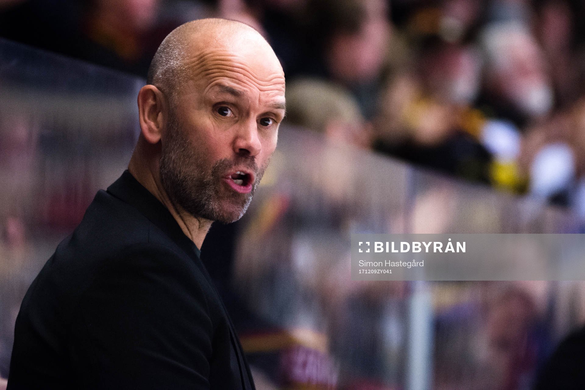 Brynäs tränare Tommy Sjödin