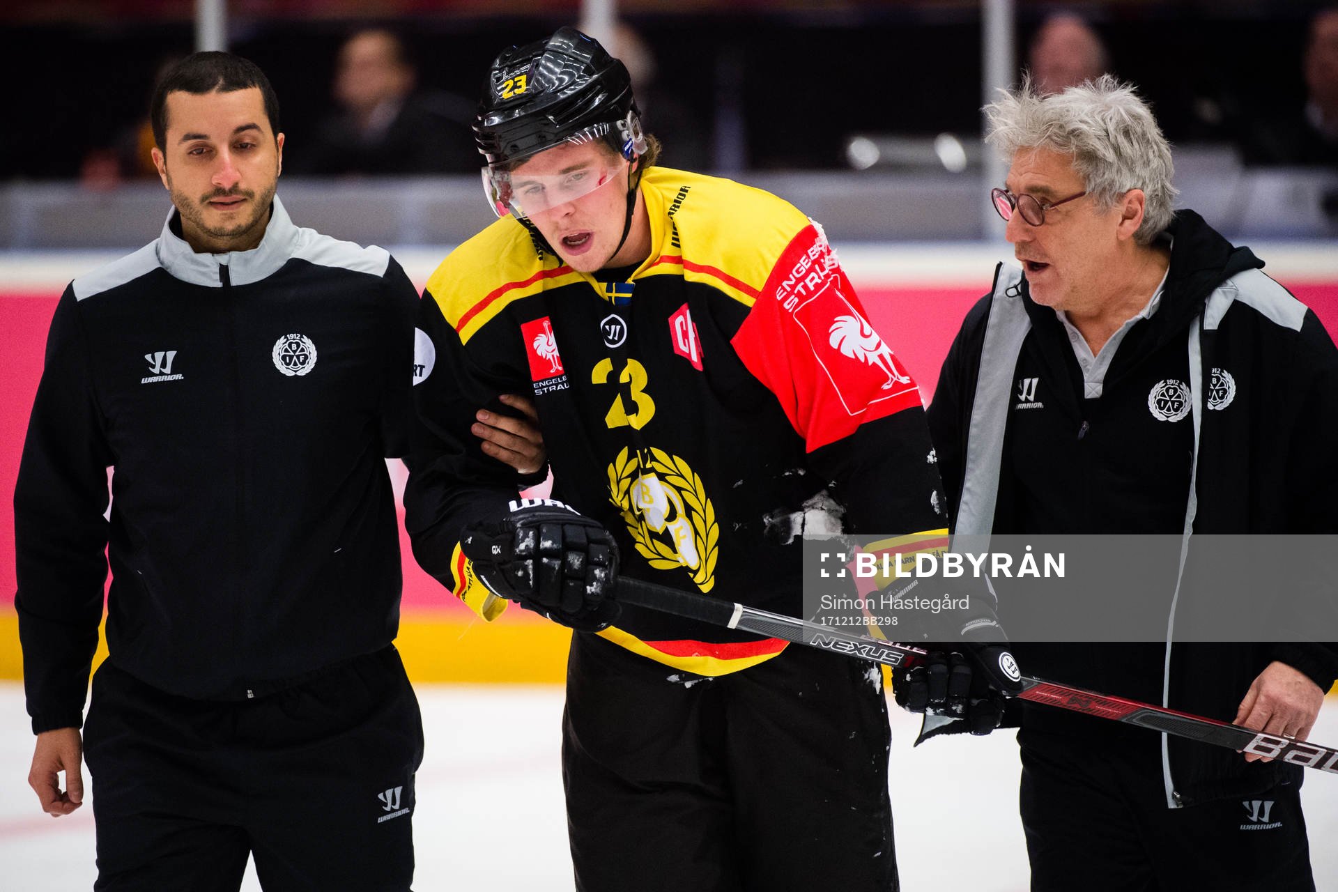 Lucas Carlsson of Brynäs in pain