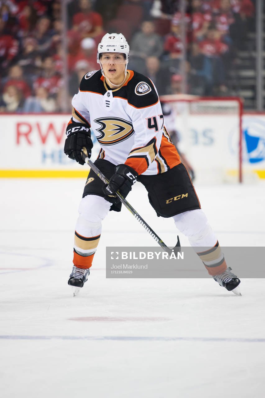 Ducks Hampus Lindholm