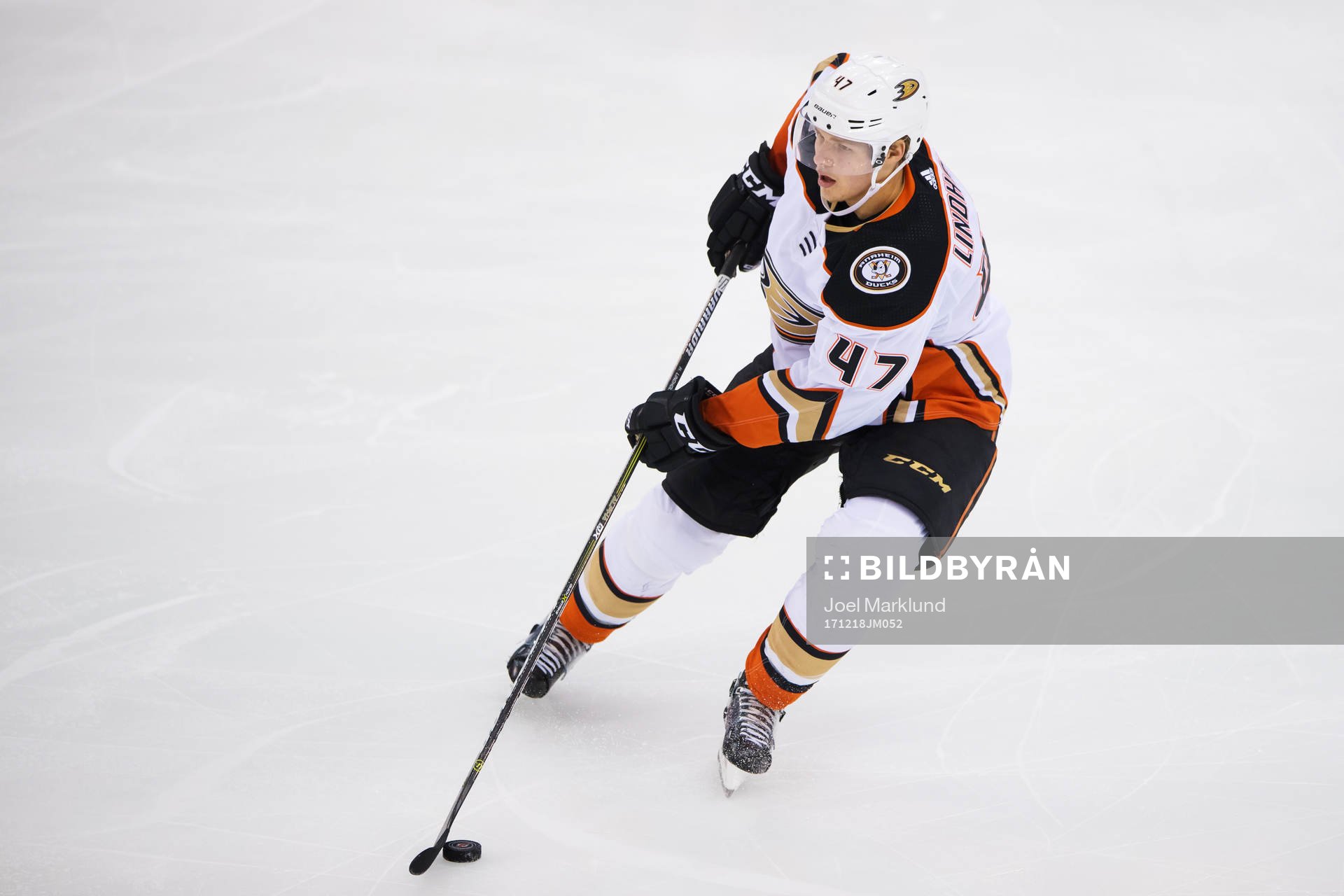 Ducks Hampus Lindholm