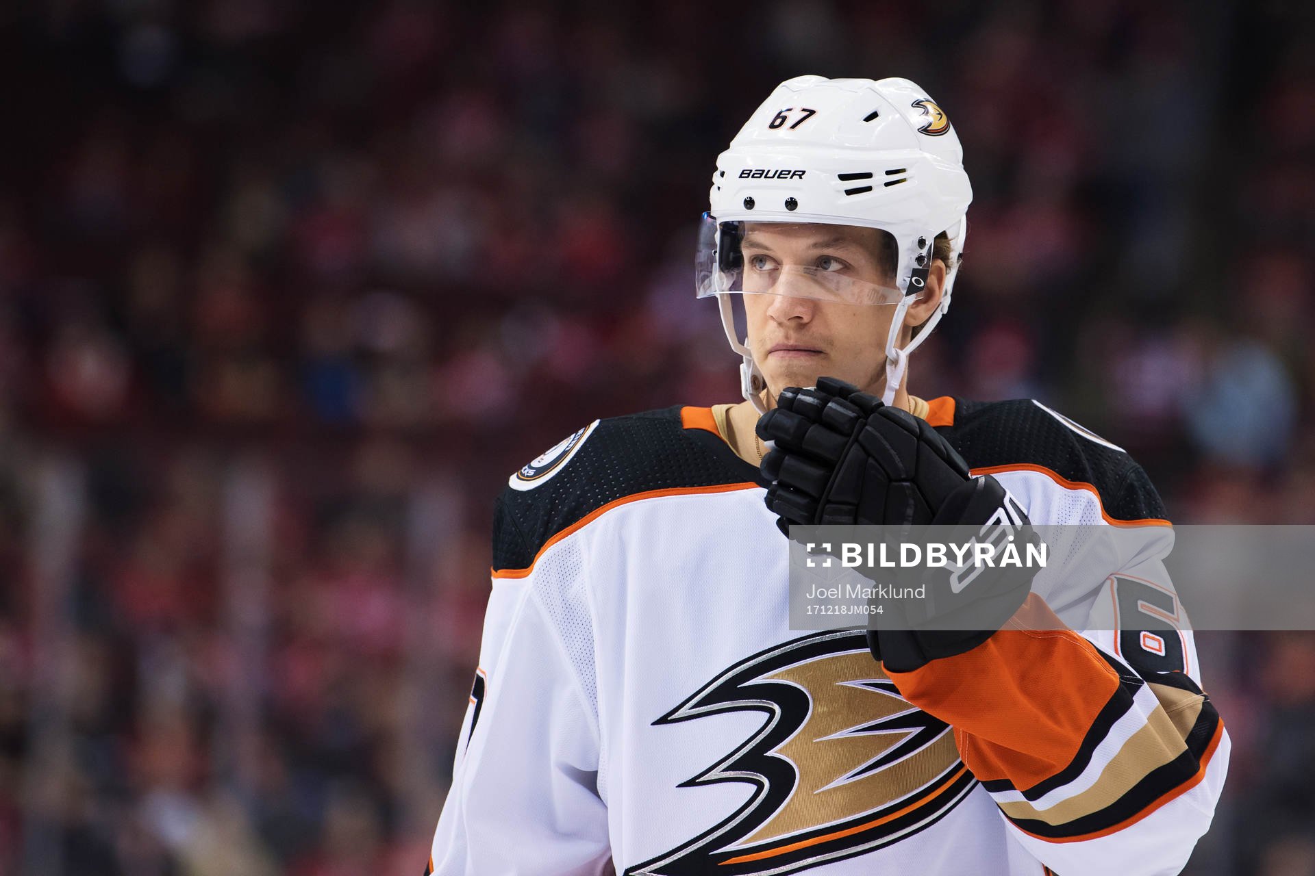 Ducks Rickard Rakell