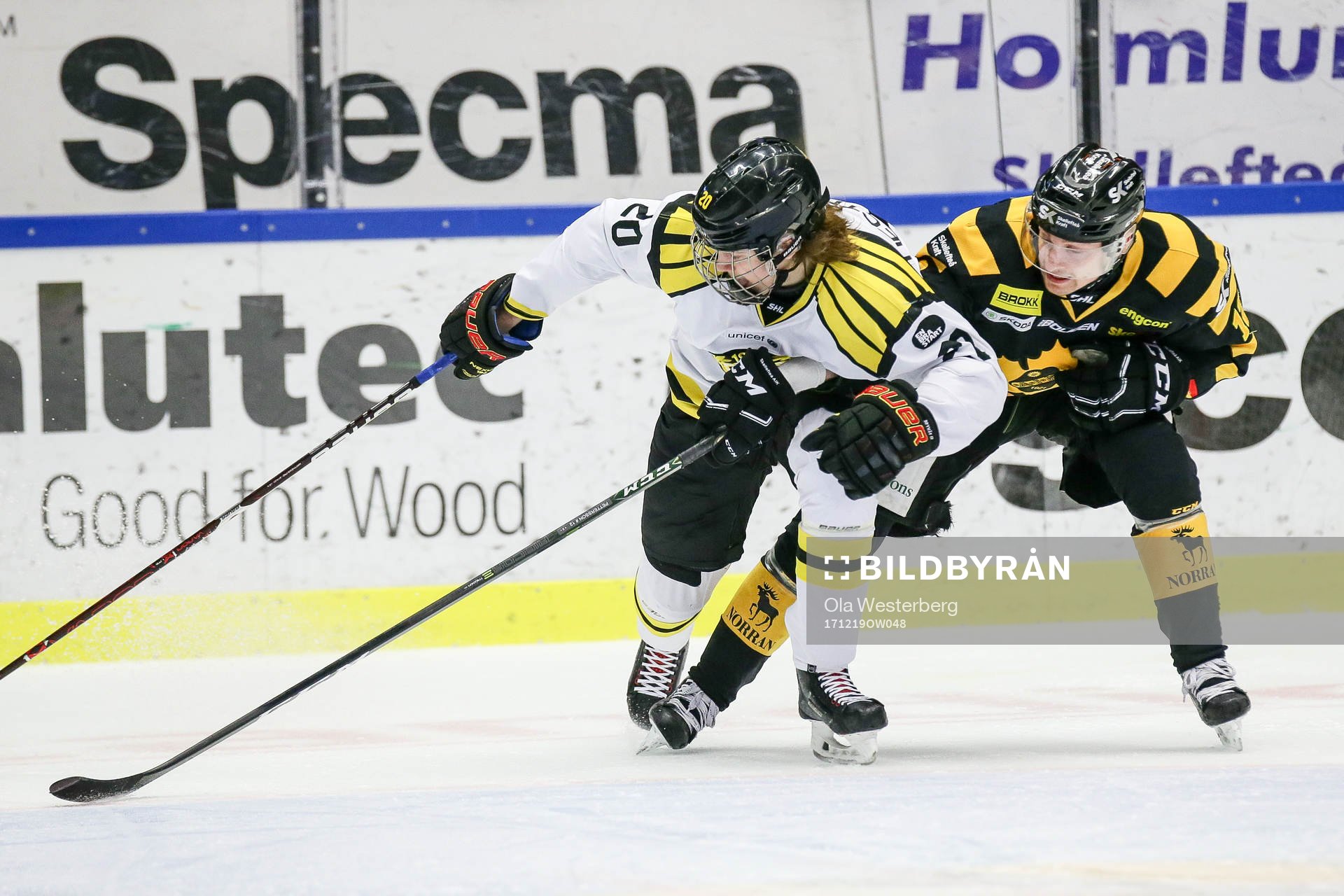 Skellefteås Adam Pettersson