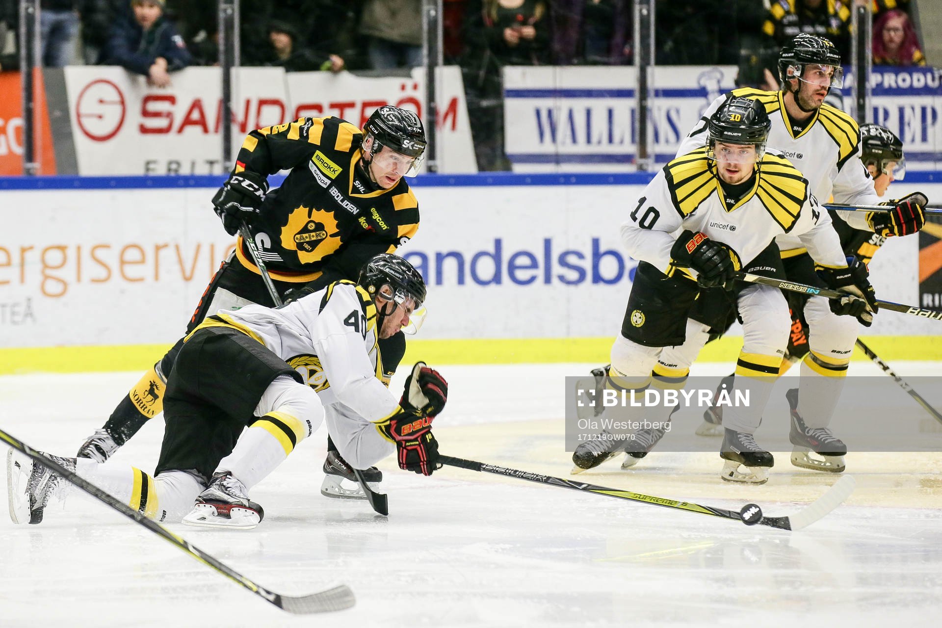 Skellefteås Adam Pettersson