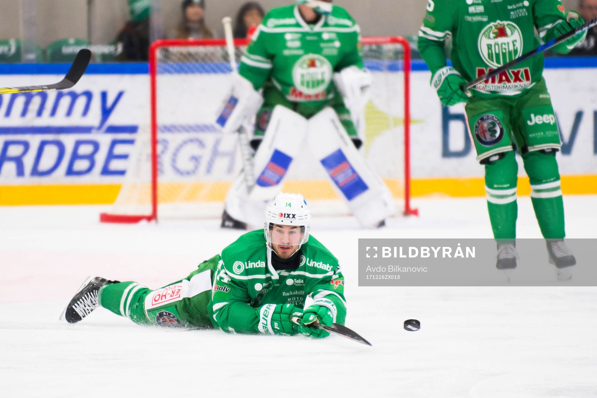 Rögles Stephen Perfetto