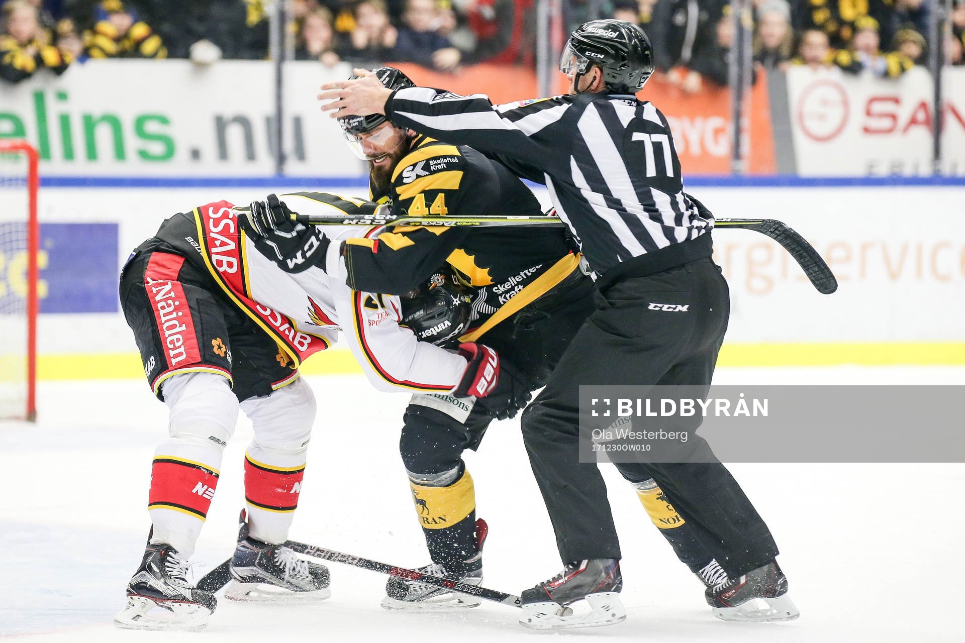 Skellefteås Morgan Ellis